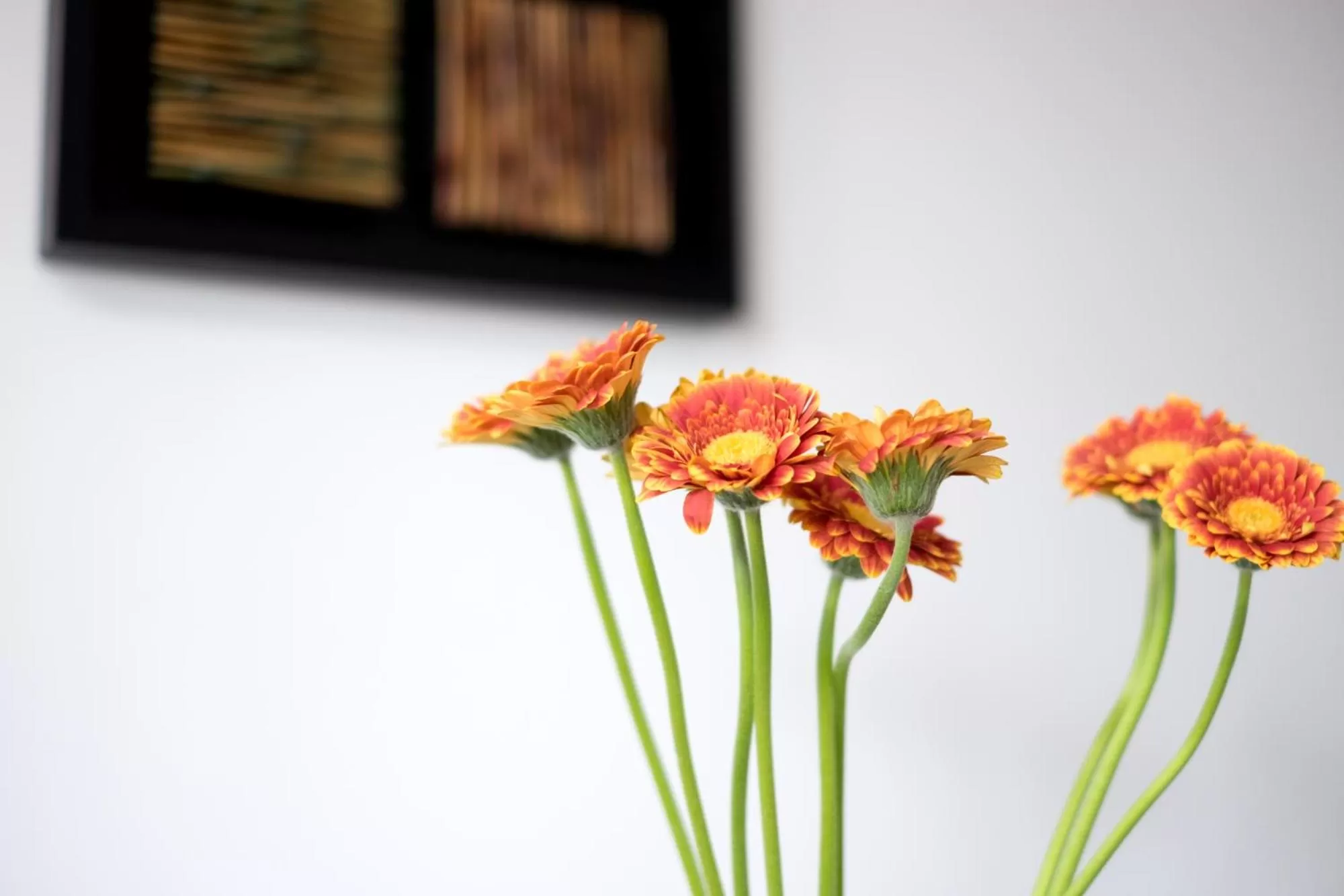 Property building in Armand Heights