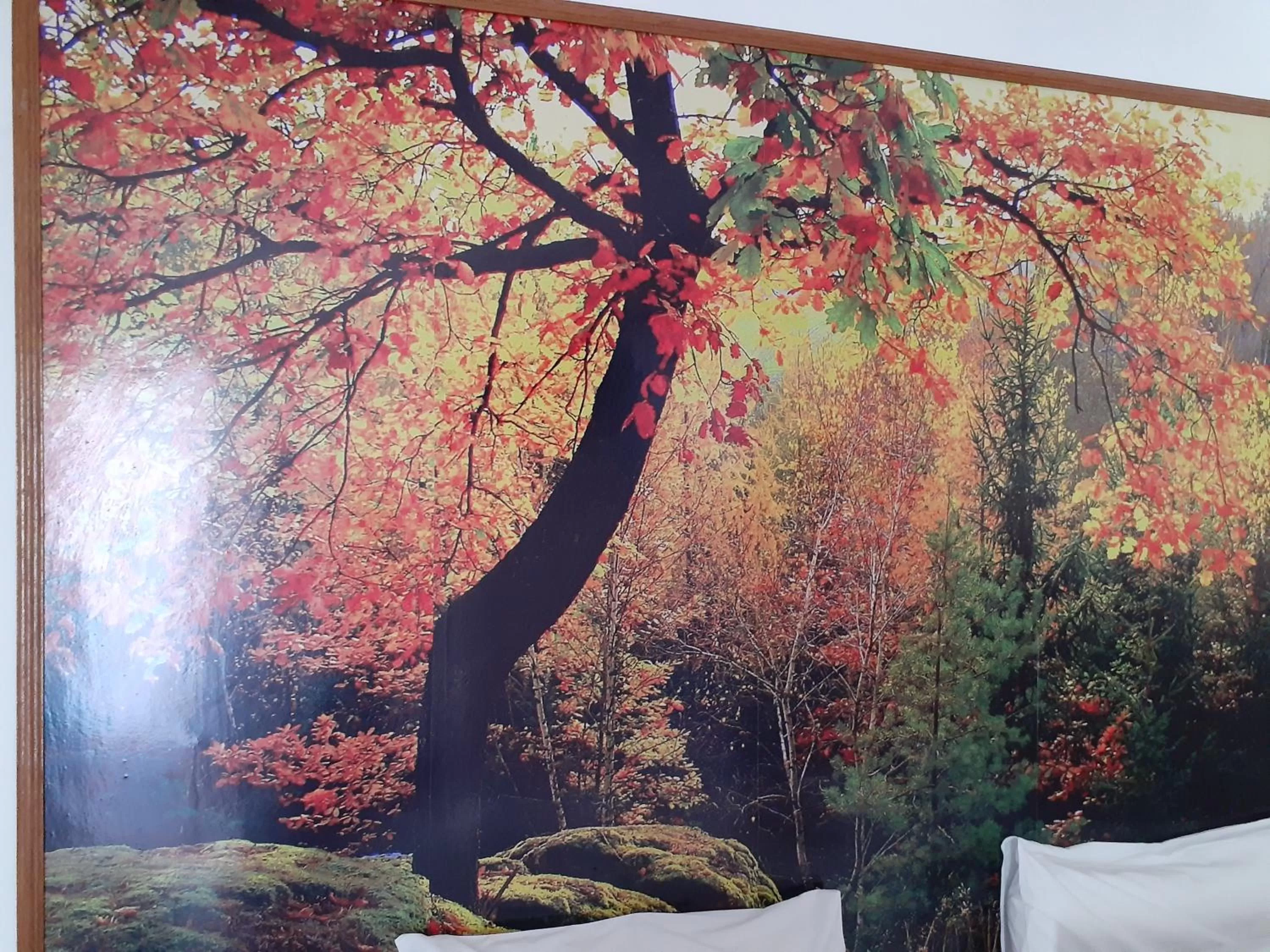 Pousada R.N.C. Nosso Paraíso