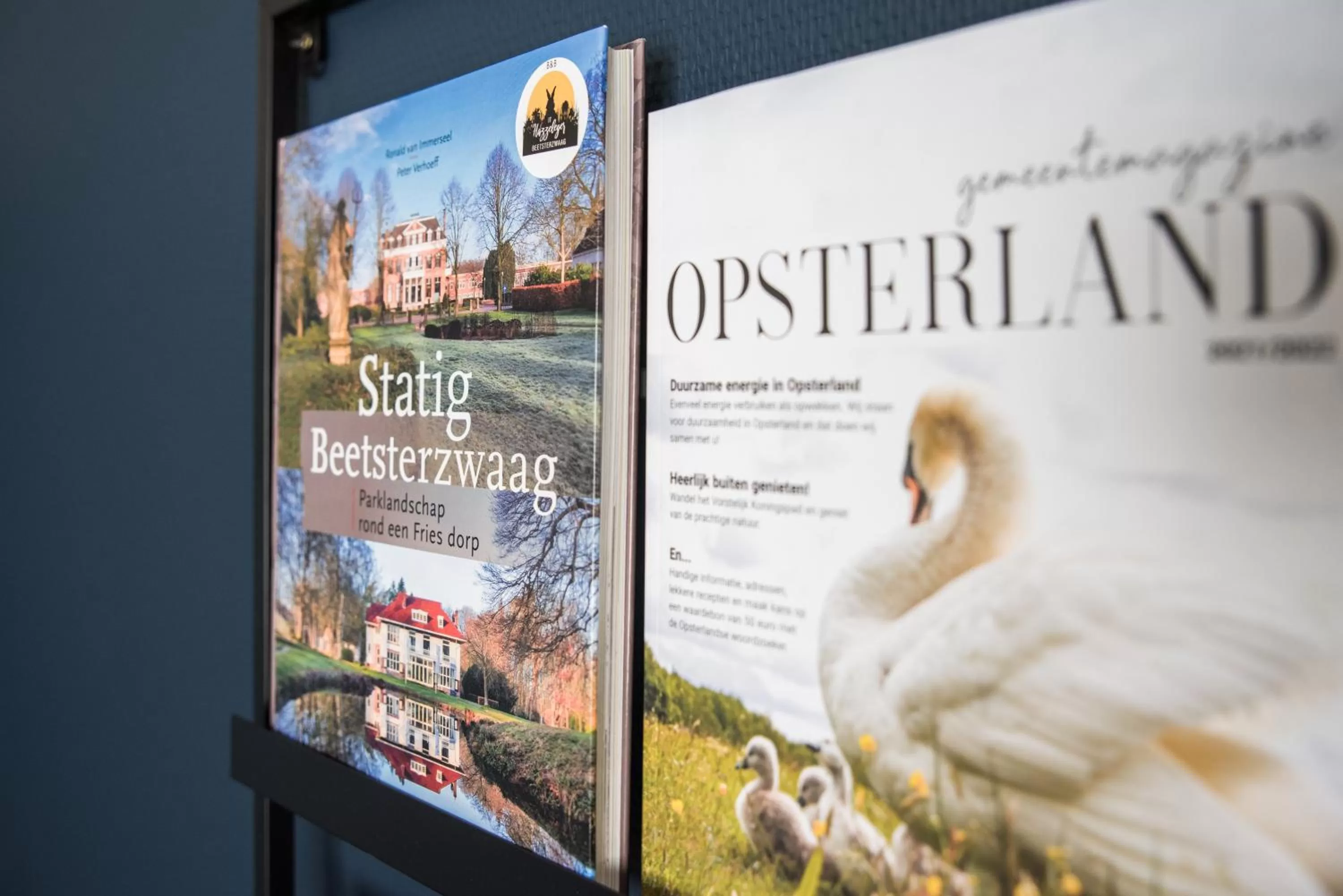 Decorative detail in BnB It Hazzeleger Beetsterzwaag
