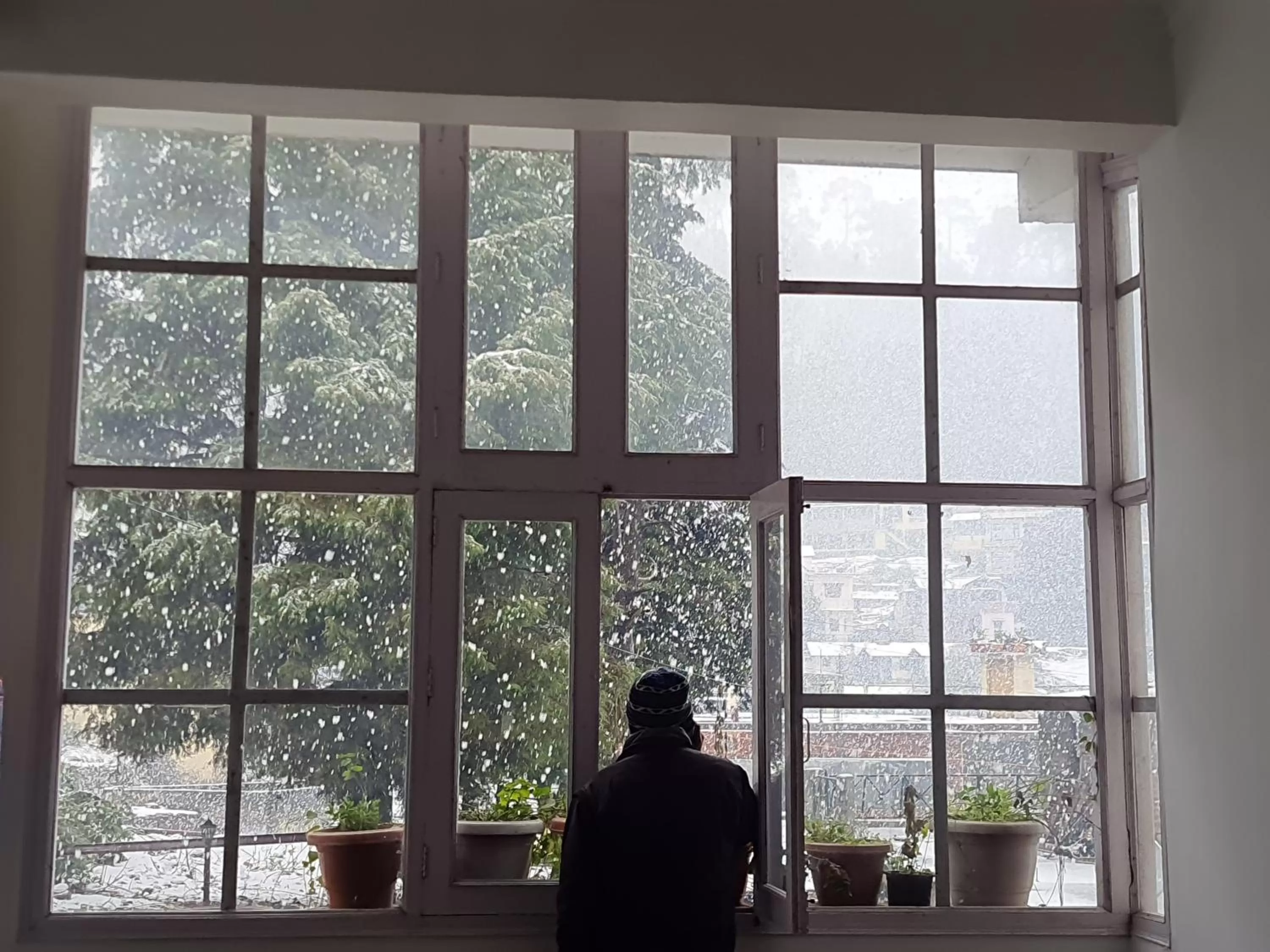 Mountain view in Hotel Vista Bhowali, Nainital - Vegetarian