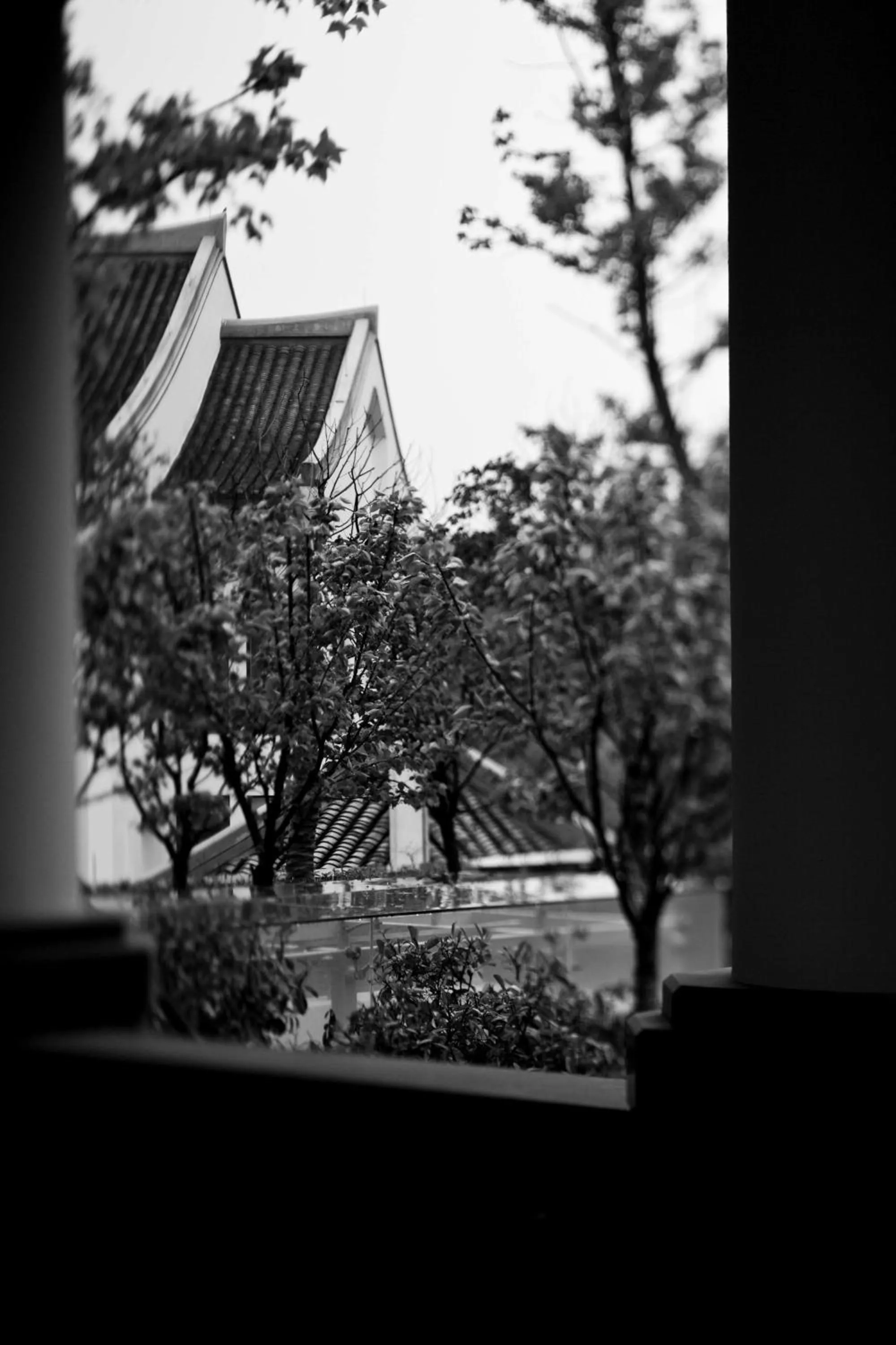 Other in Park Hyatt Ningbo Resort & Spa