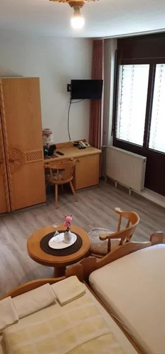 TV and multimedia in Hotel Restaurant Paelzer-Buwe