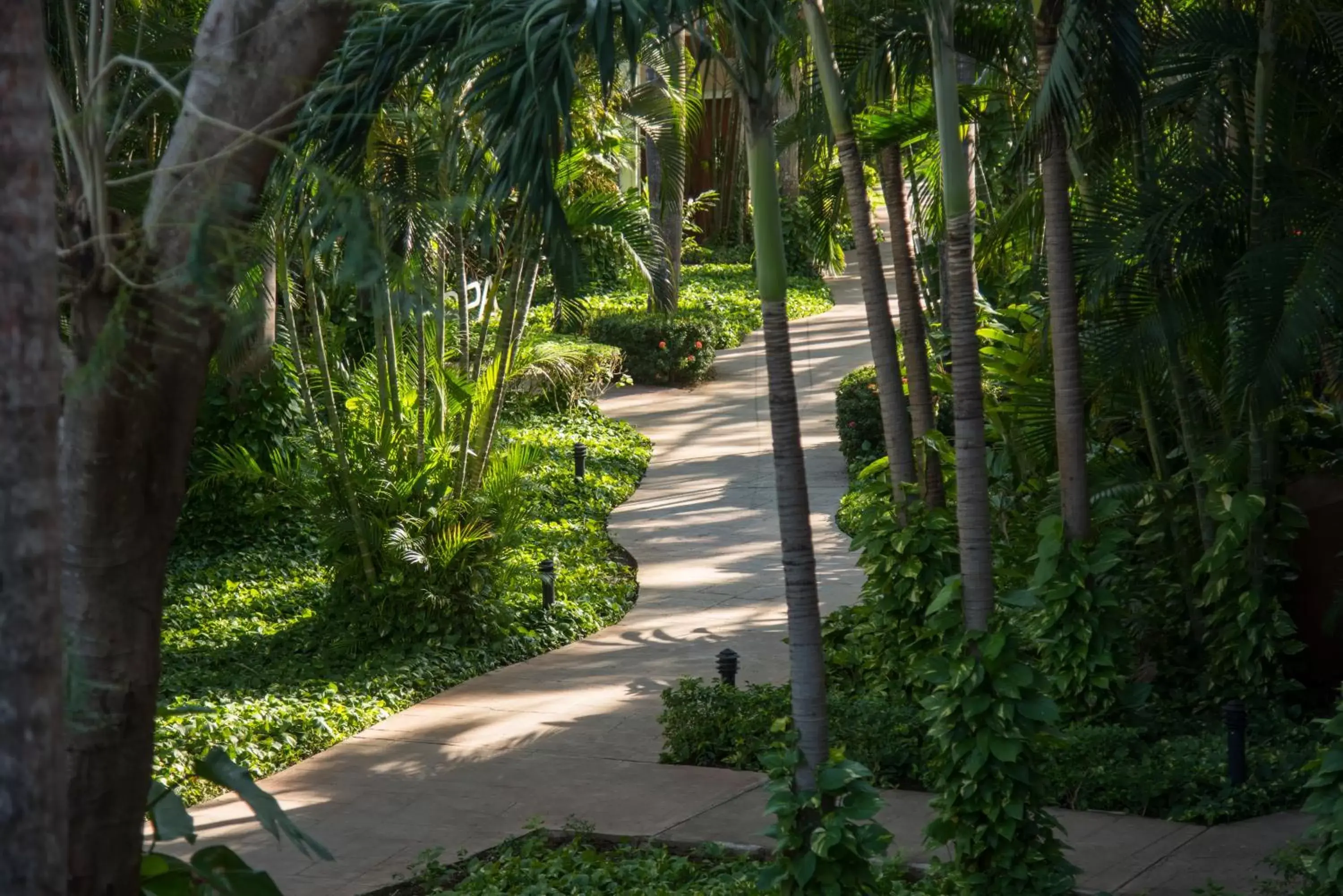 Garden in Occidental Tamarindo - All Inclusive