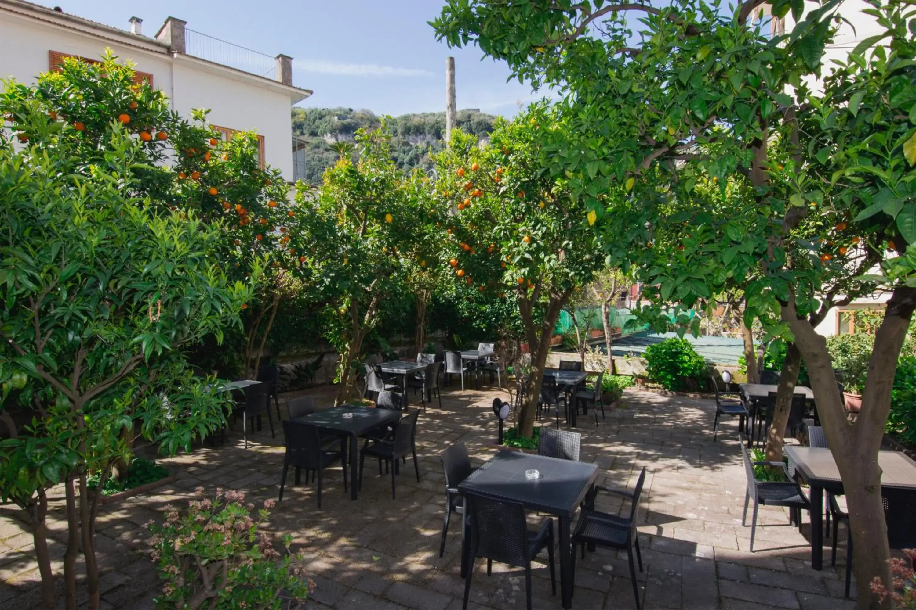 Garden, Restaurant/Places to Eat in Hotel Leone