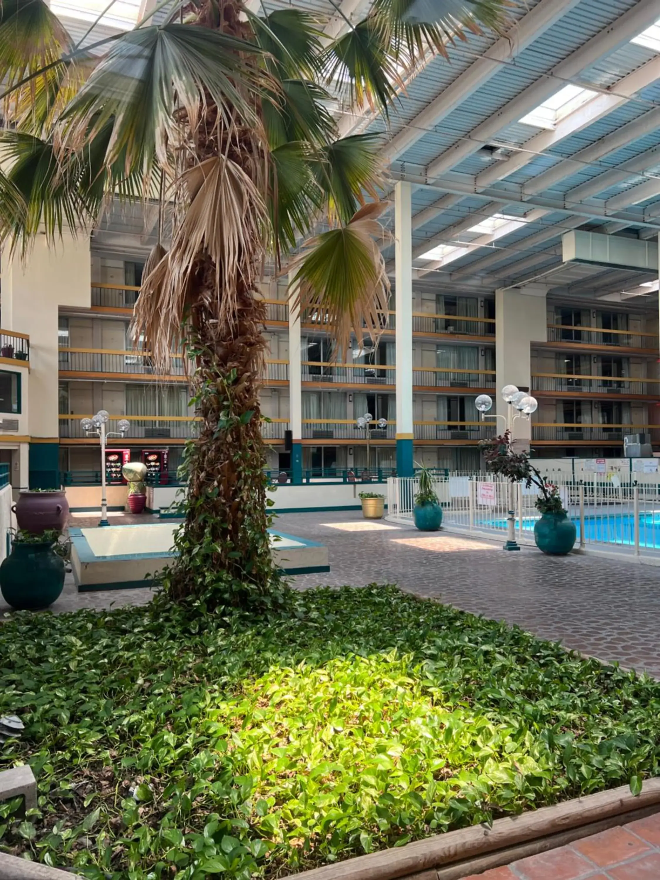 Inner courtyard view, Swimming Pool in The Lodge Hotel and Banquets