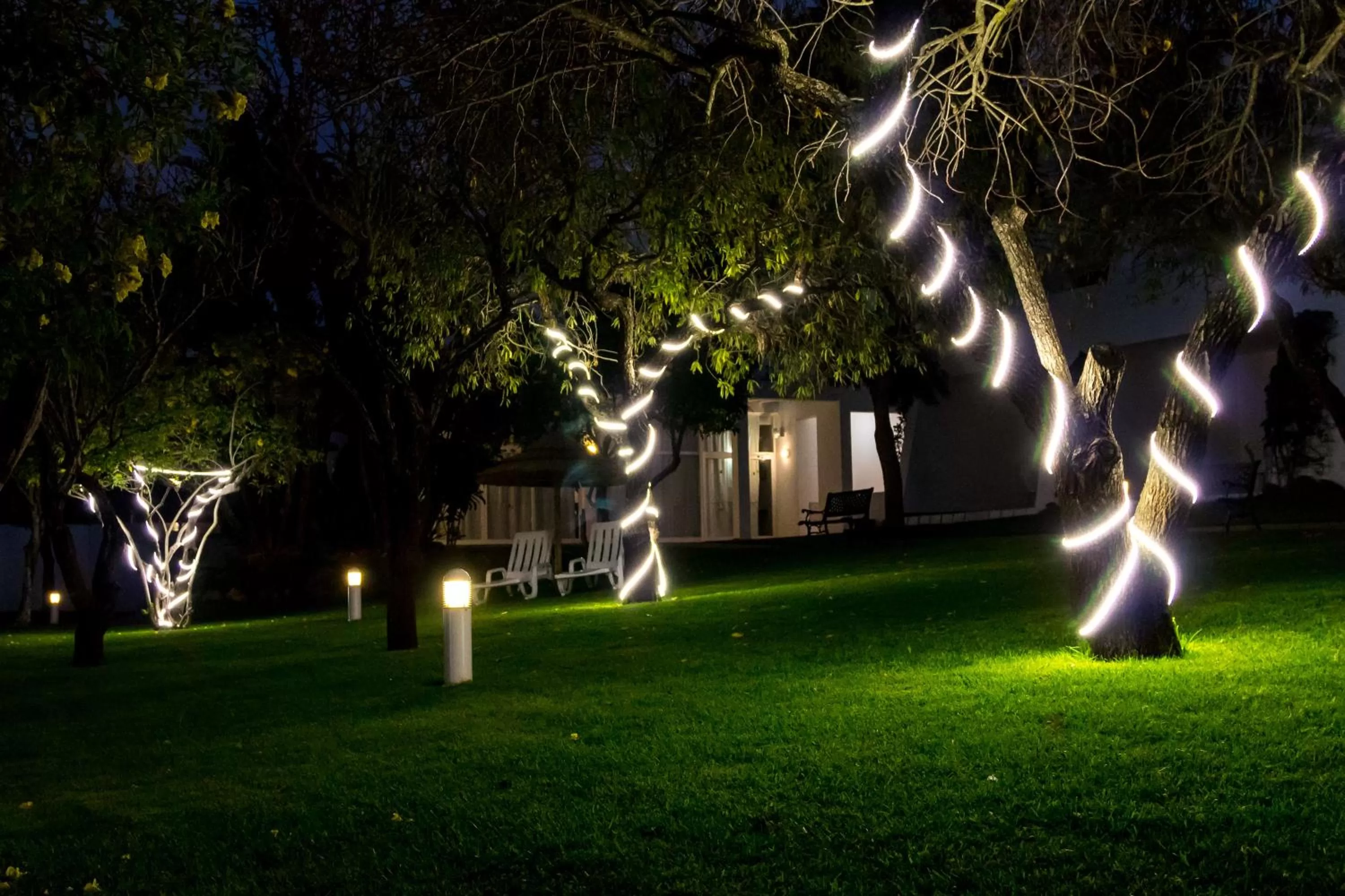 Garden in Pateo Village