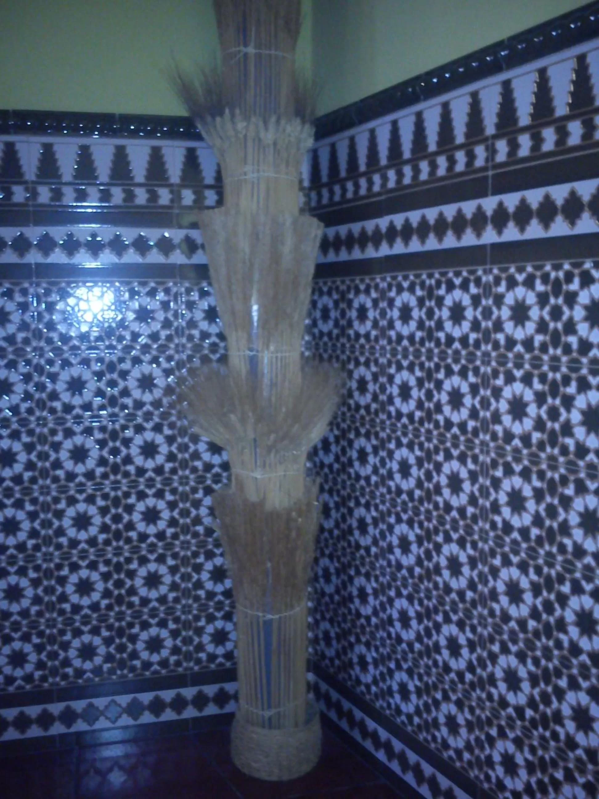 Lobby or reception, Bathroom in Escua