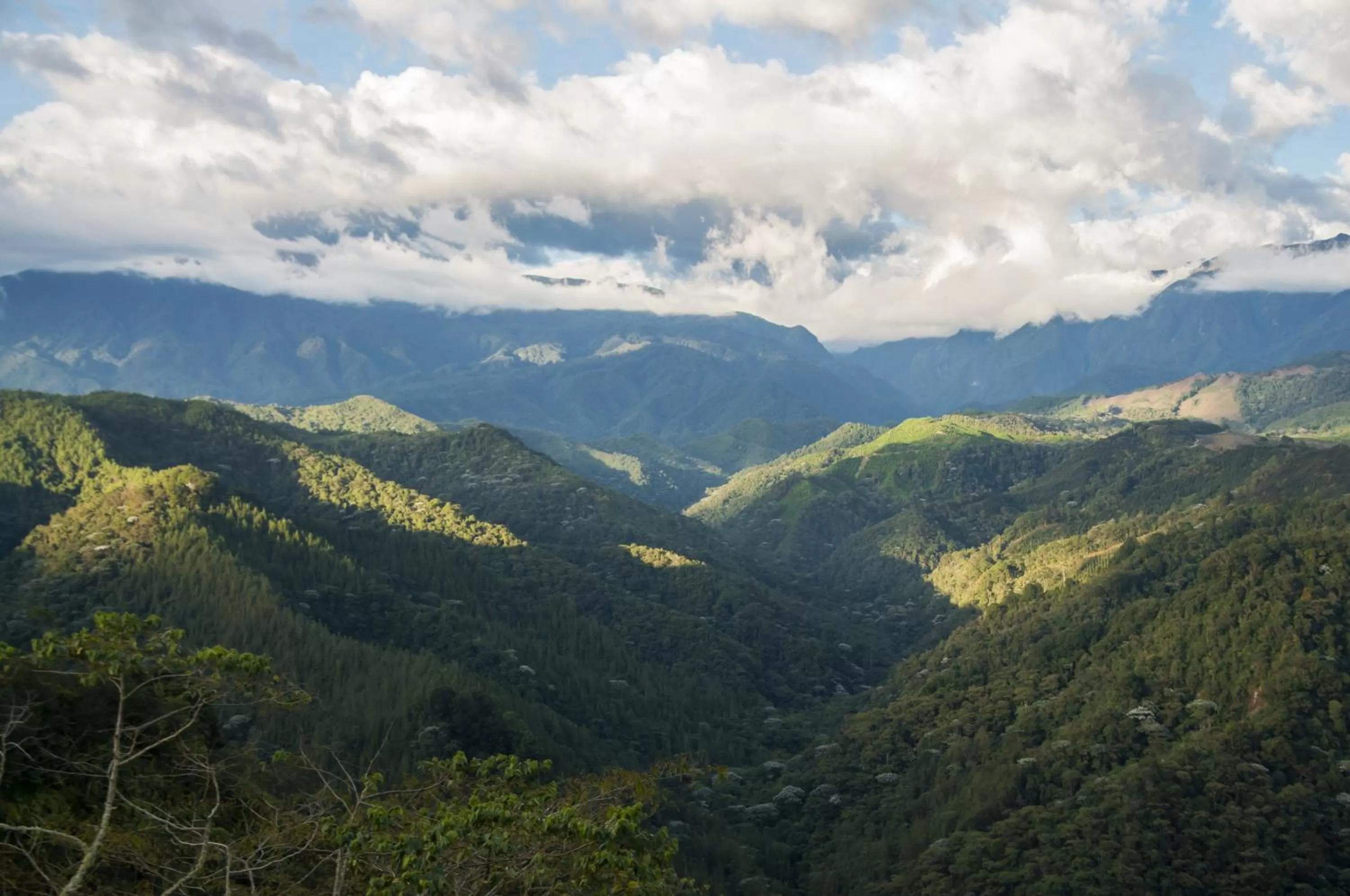 Natural landscape in Hotel Reserva Monarca