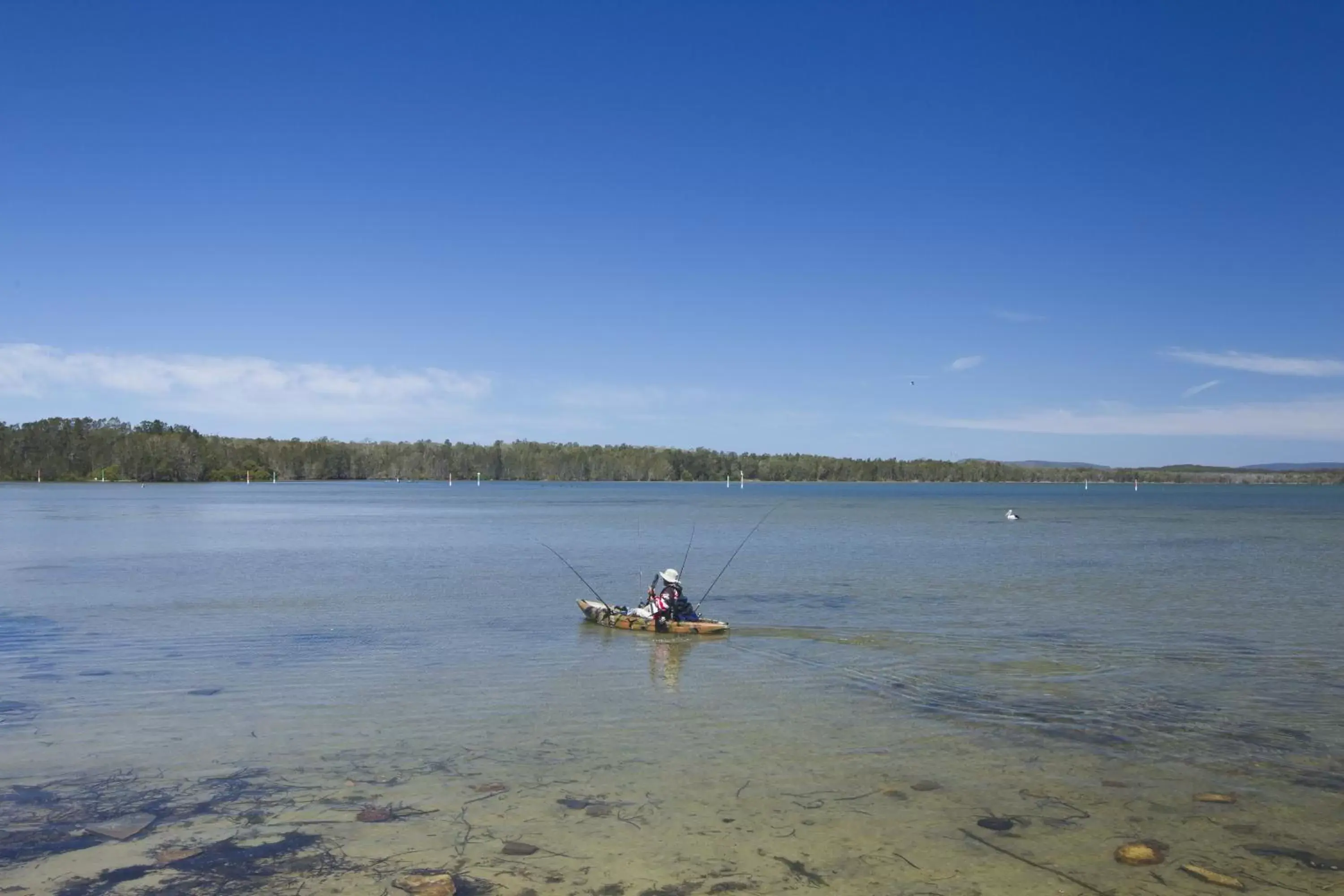 Fishing, Canoeing in Lakeside Forster Holiday Park and Village