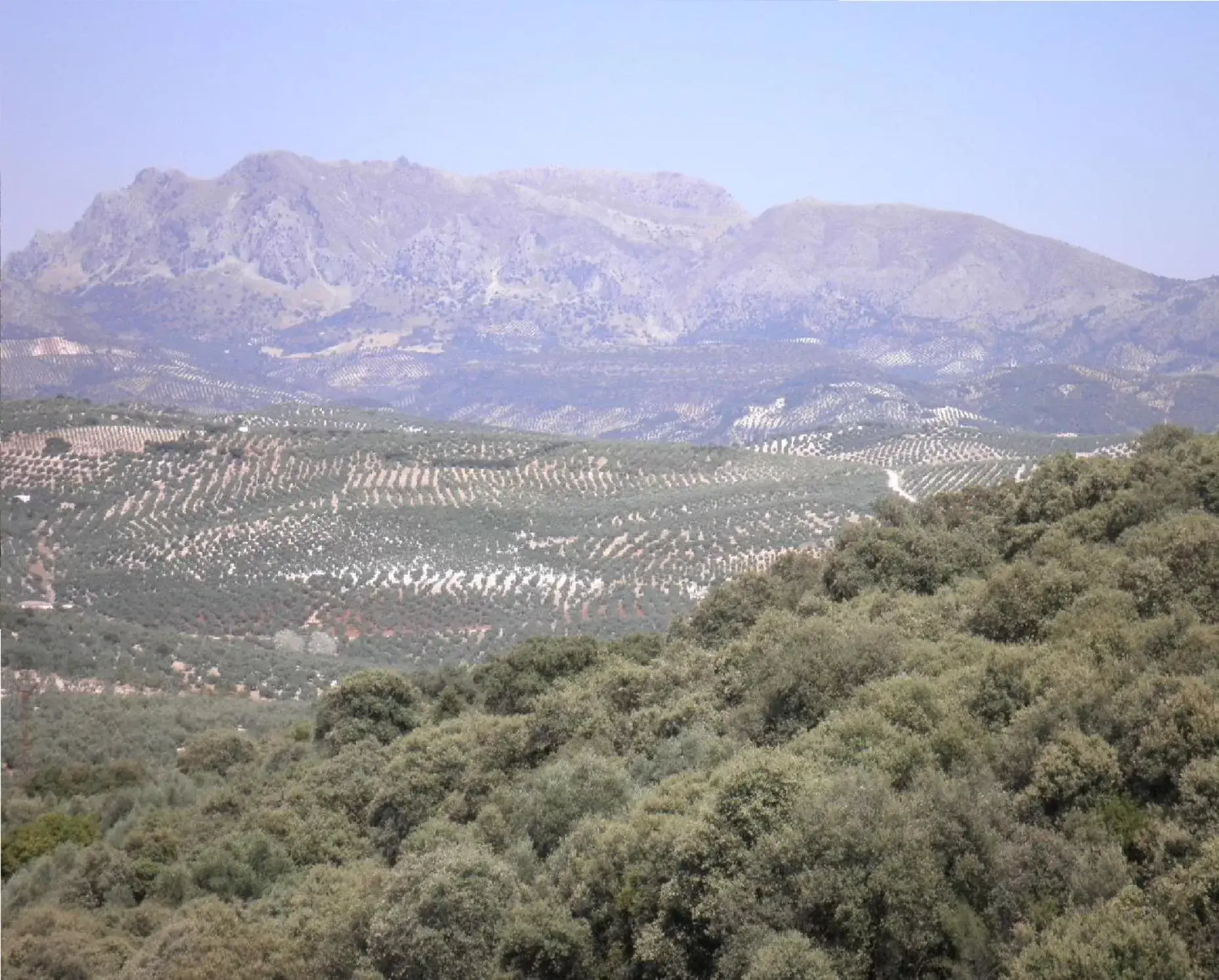 Off site, Mountain View in Hotel Sierra de Araceli Lucena