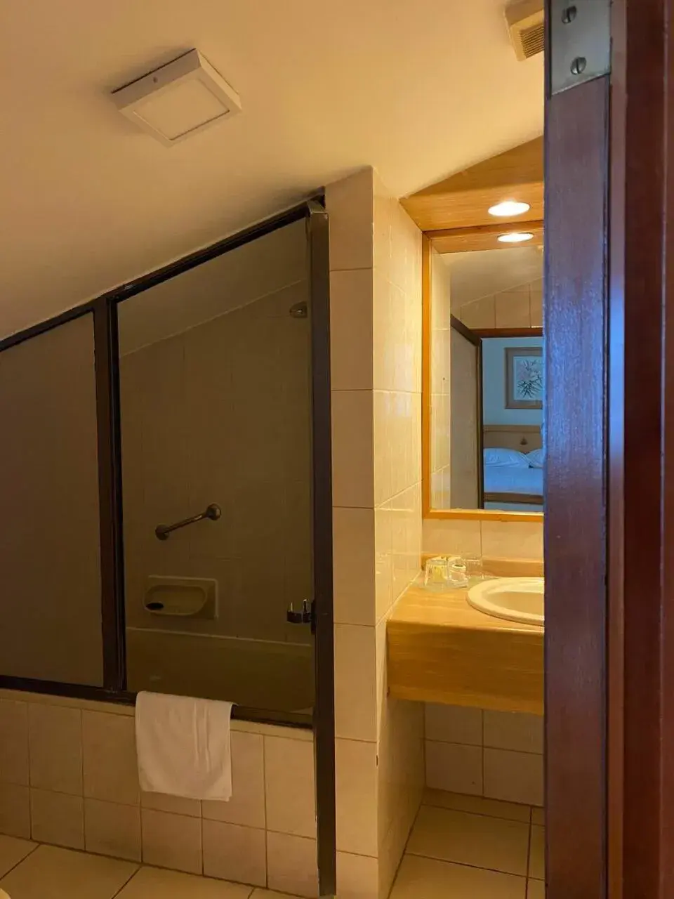 Bathroom in abba Presidente Suites Puerto Montt