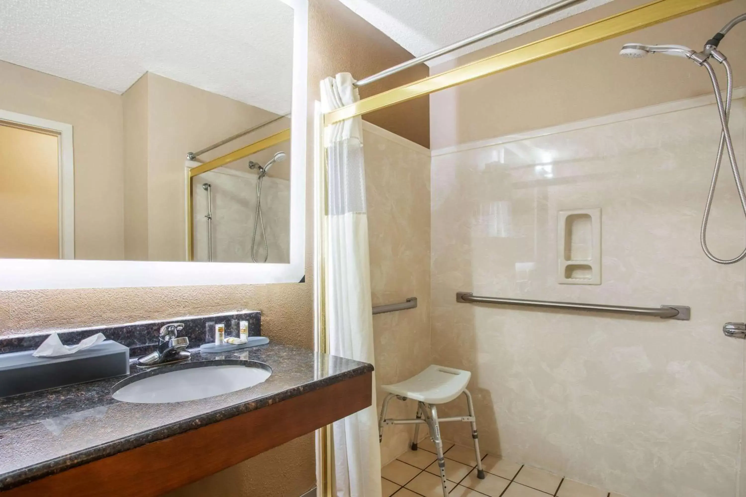 Shower, Bathroom in La Quinta Inn by Wyndham Decatur Alabama
