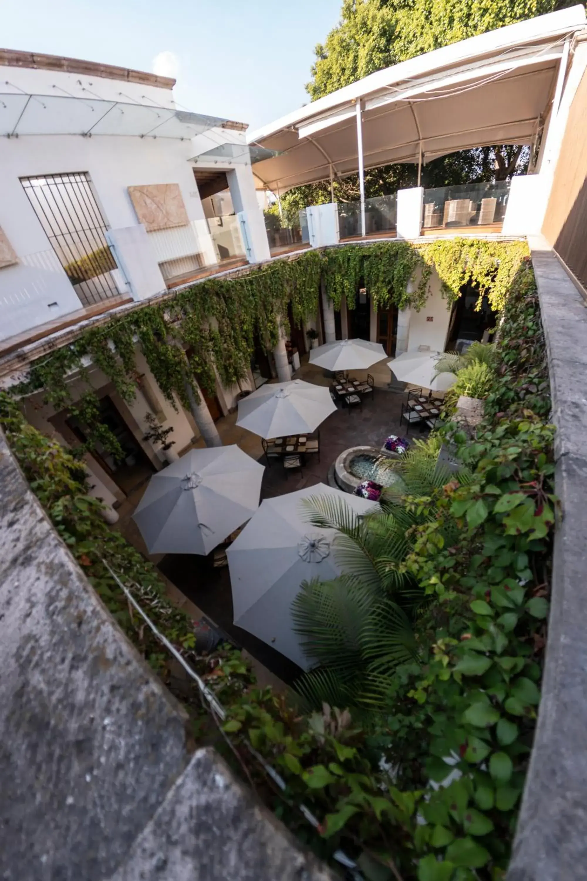 Patio in Hotel Boutique Casa San Diego