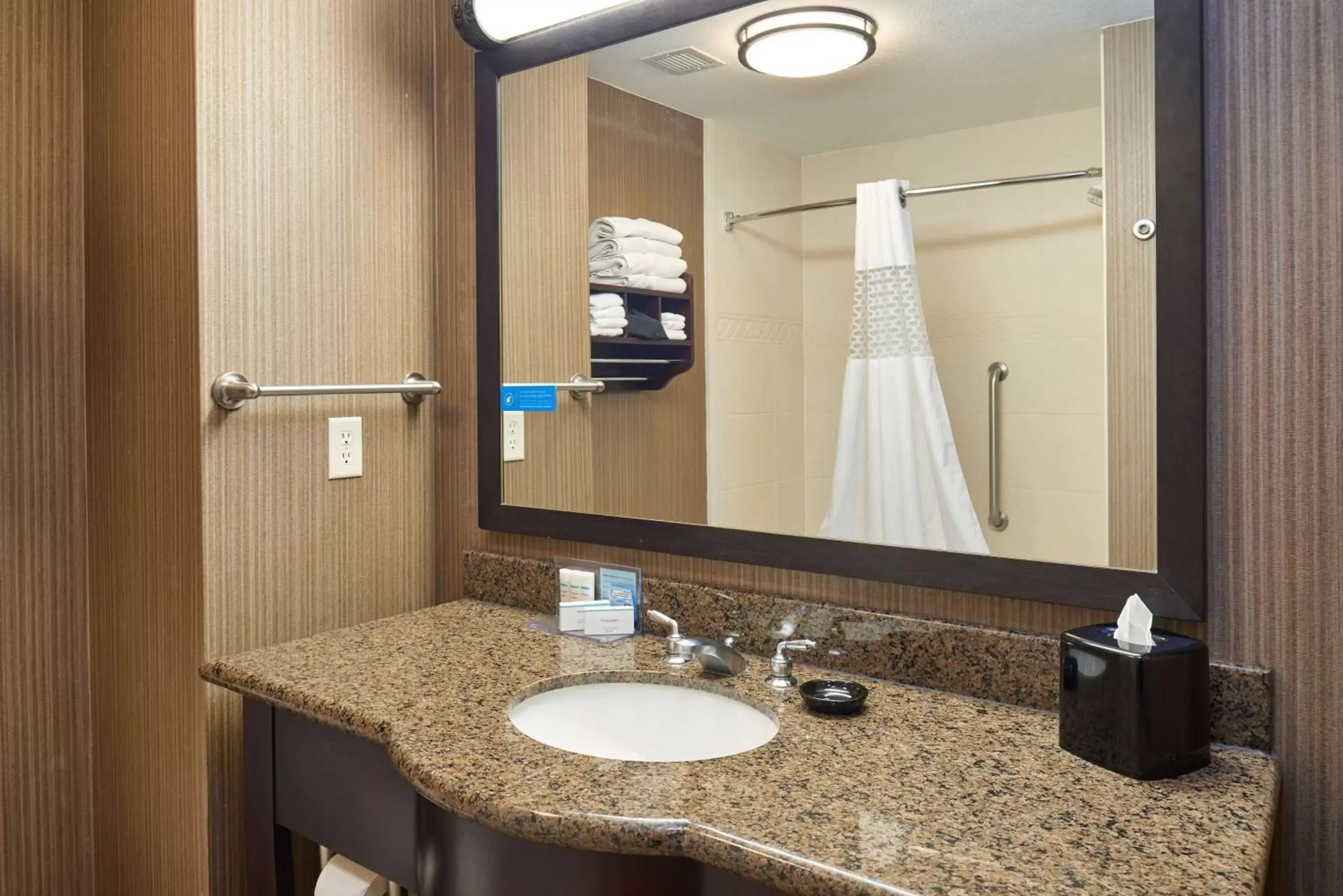 Bathroom in Hampton Inn & Suites Longview North