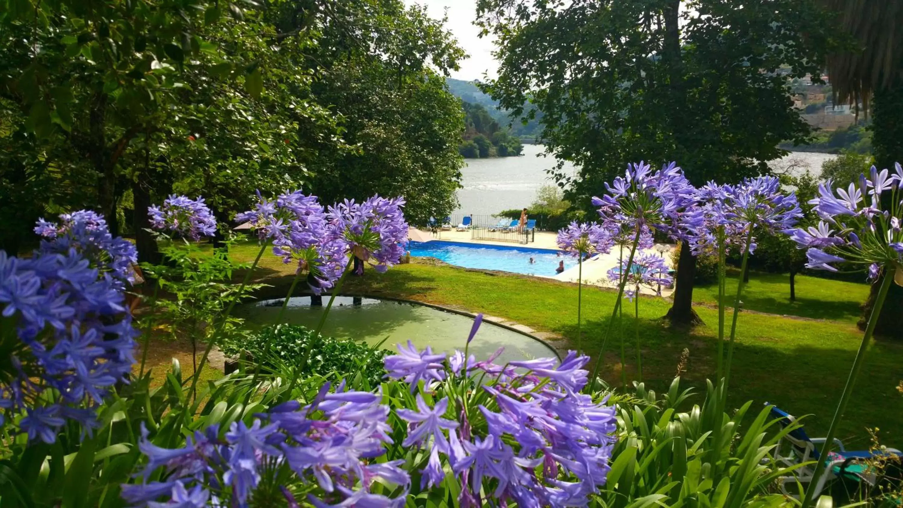 Natural landscape, Swimming Pool in Quinta da Ermida - Turismo de Habitacao