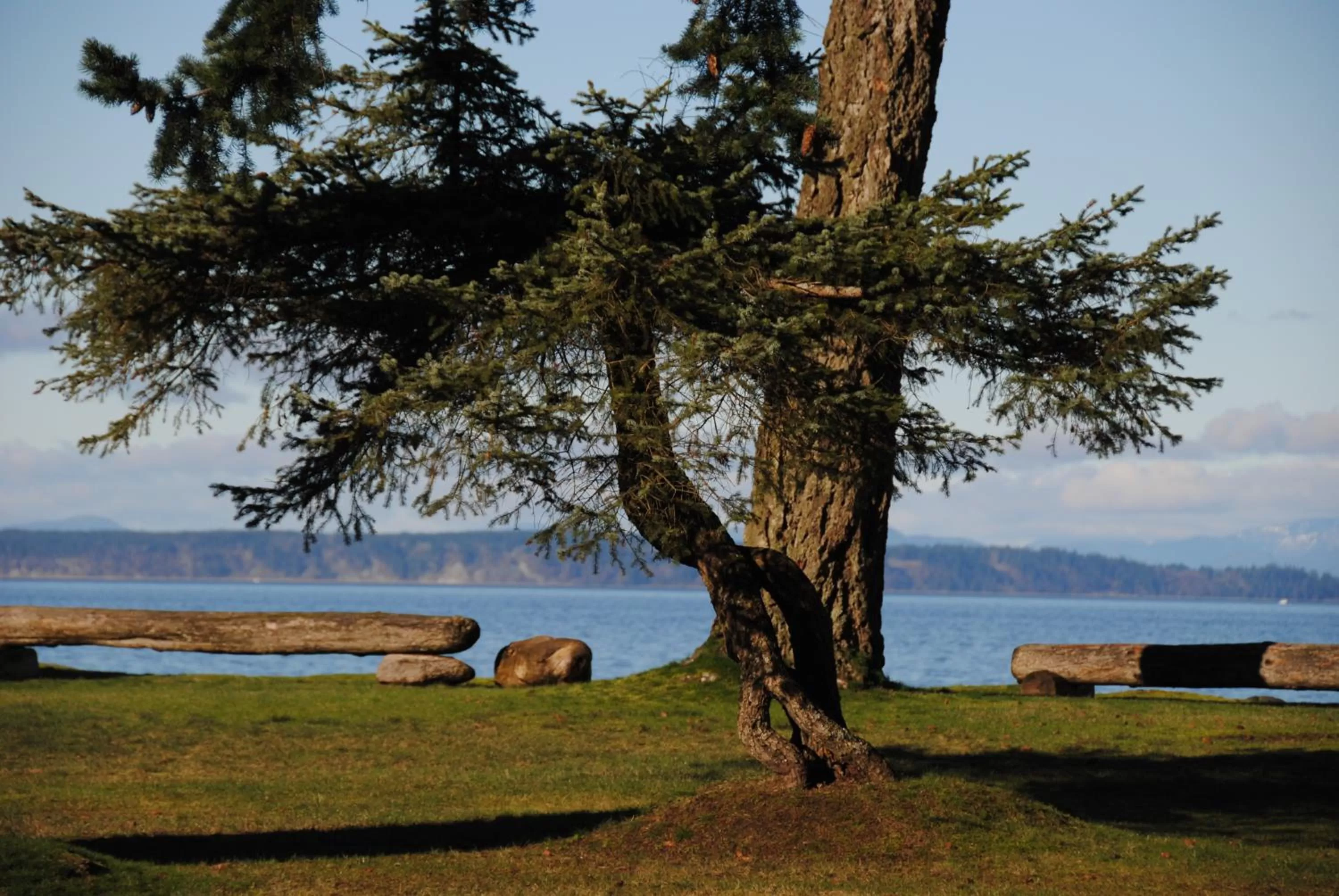 Other in Ocean Resort