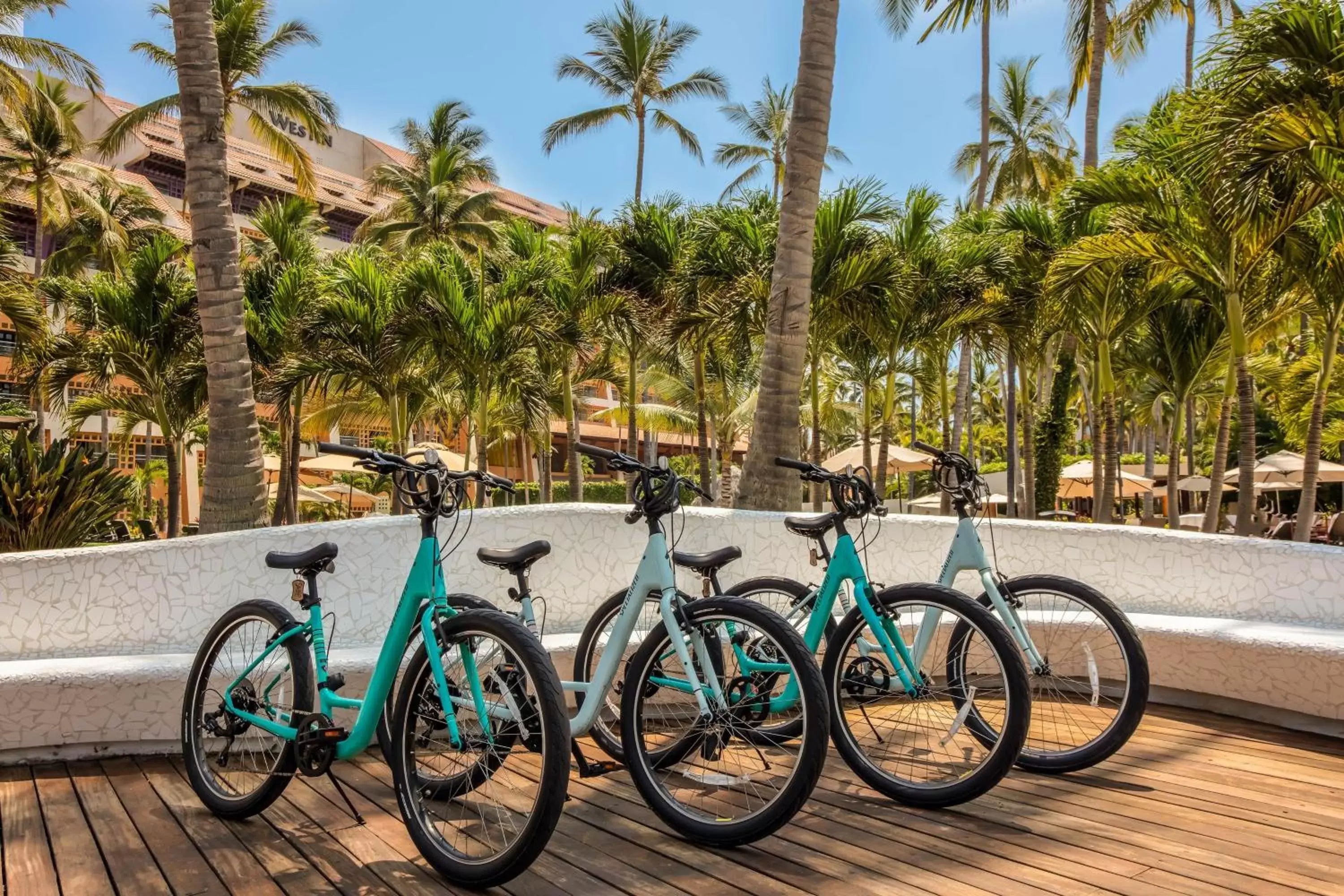 Other, Other Activities in The Westin Resort & Spa, Puerto Vallarta