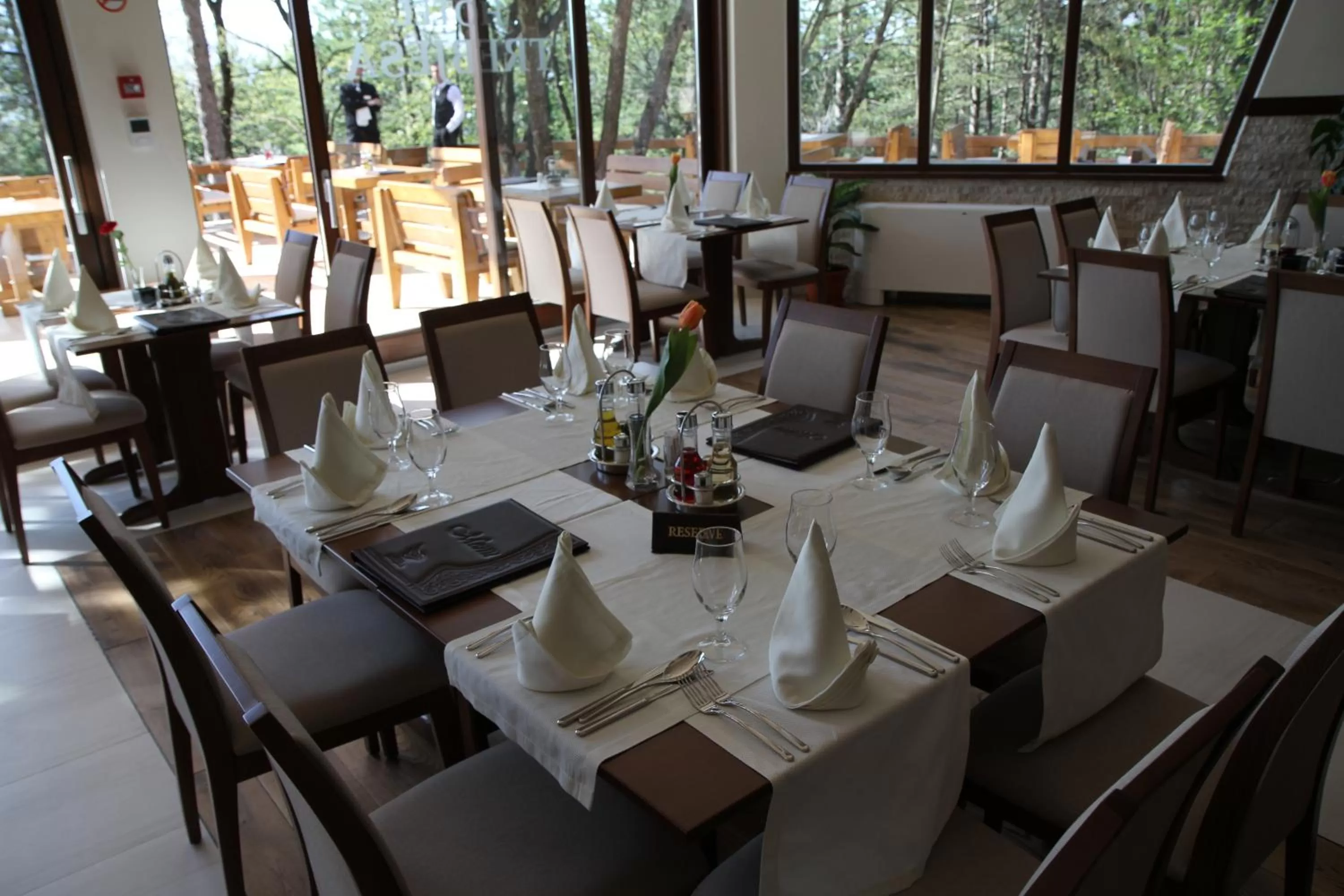 Restaurant/places to eat in Hotel Trebjesa