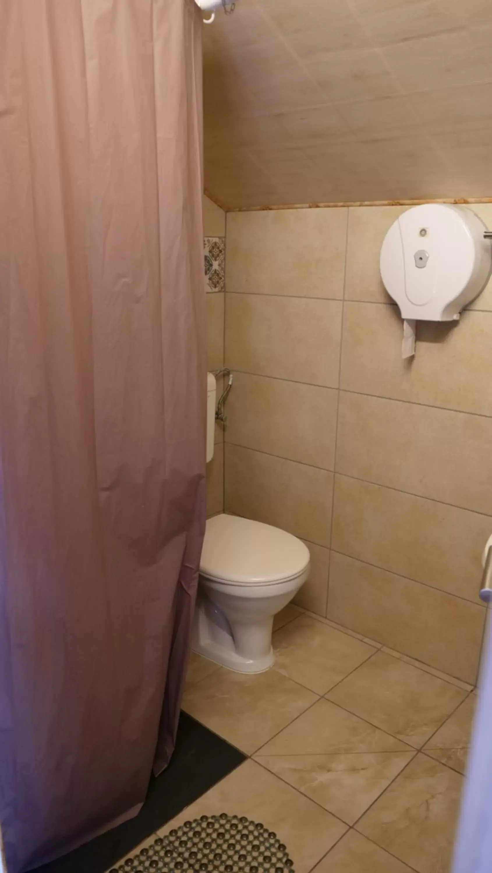 Shower, Bathroom in Attila Hotel