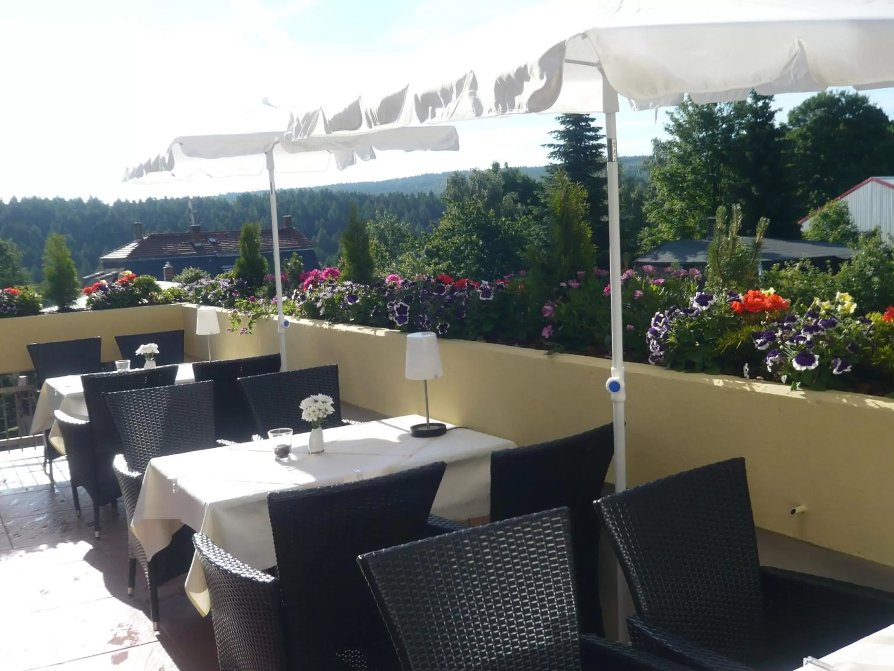 Balcony/Terrace in Hotel Falkenstein