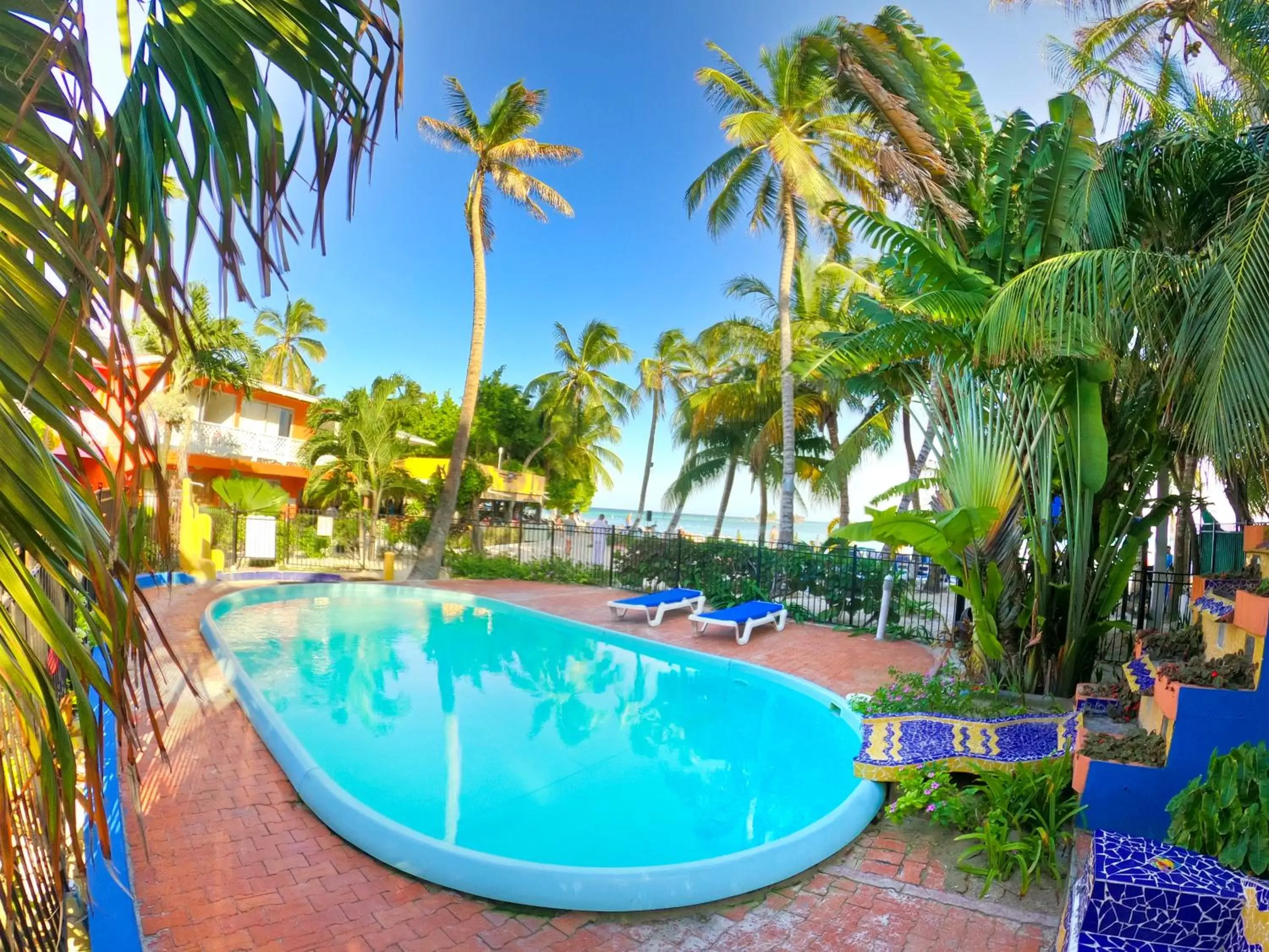 Swimming Pool in Hotel Cocoplum Beach