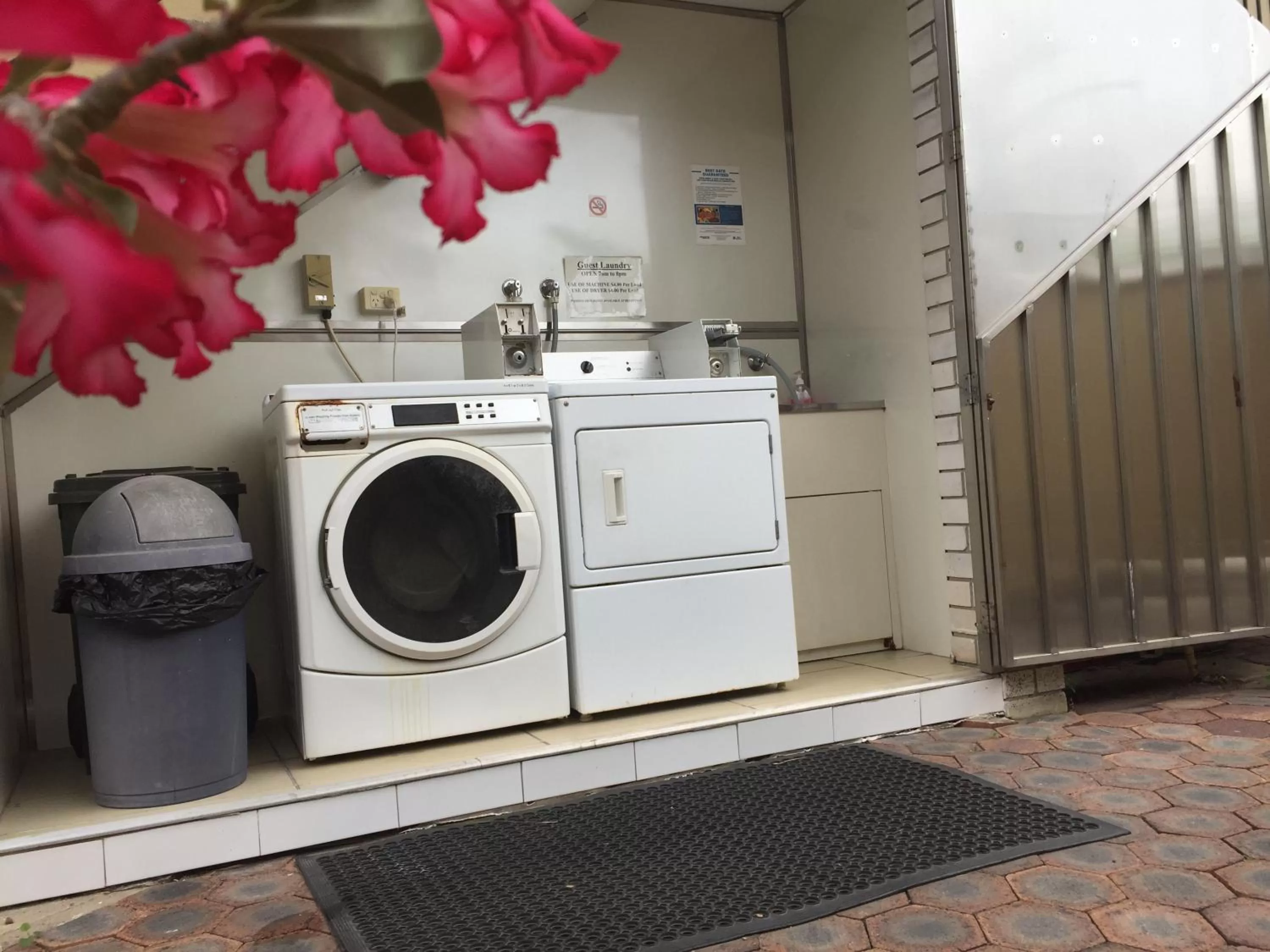 Other in Best Western Airport 85 Motel