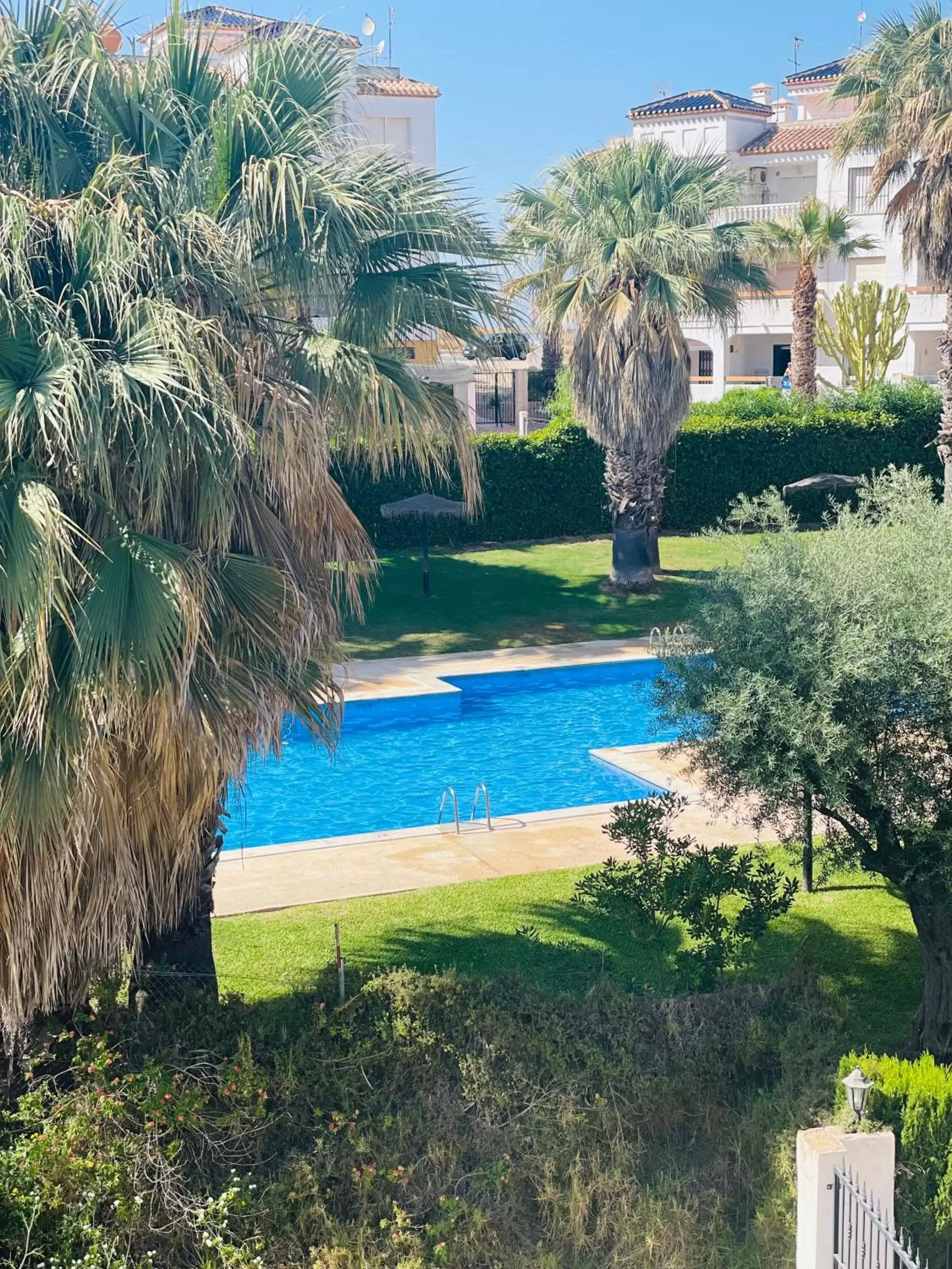 Swimming Pool in Villamartin Hotel GHB