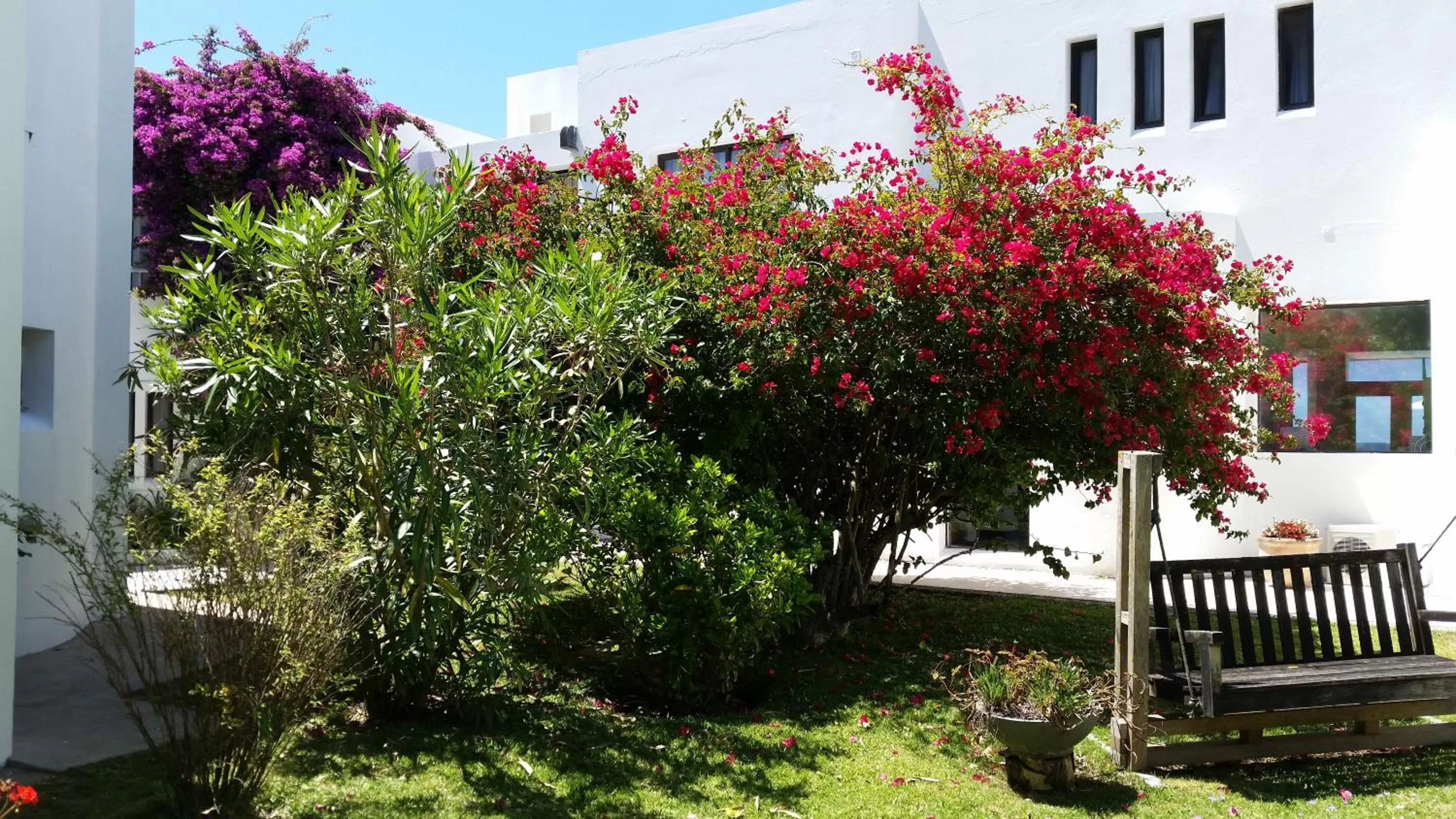 Patio in Posada de los Pajaros