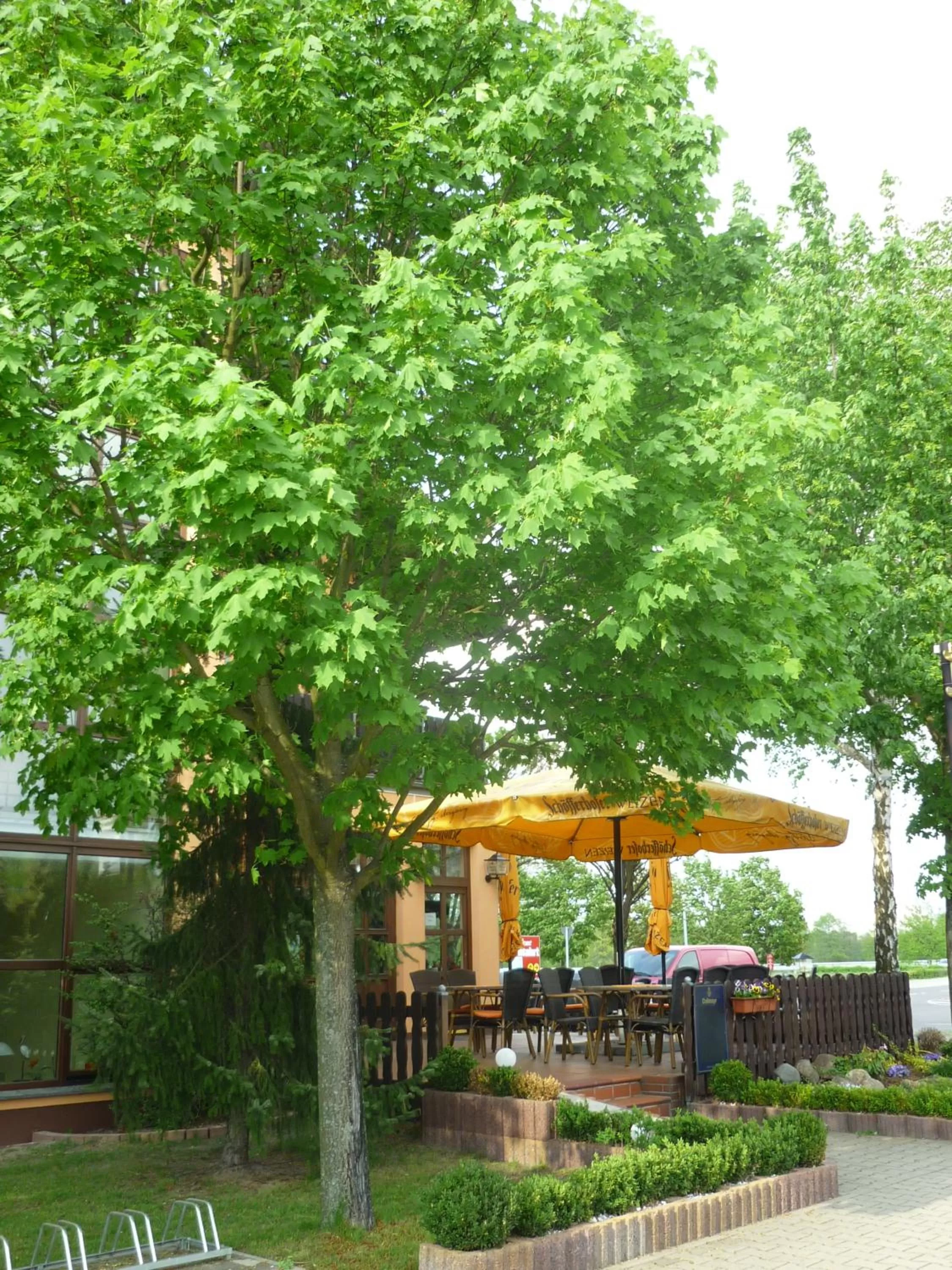 Balcony/Terrace in Willmersdorfer Hof