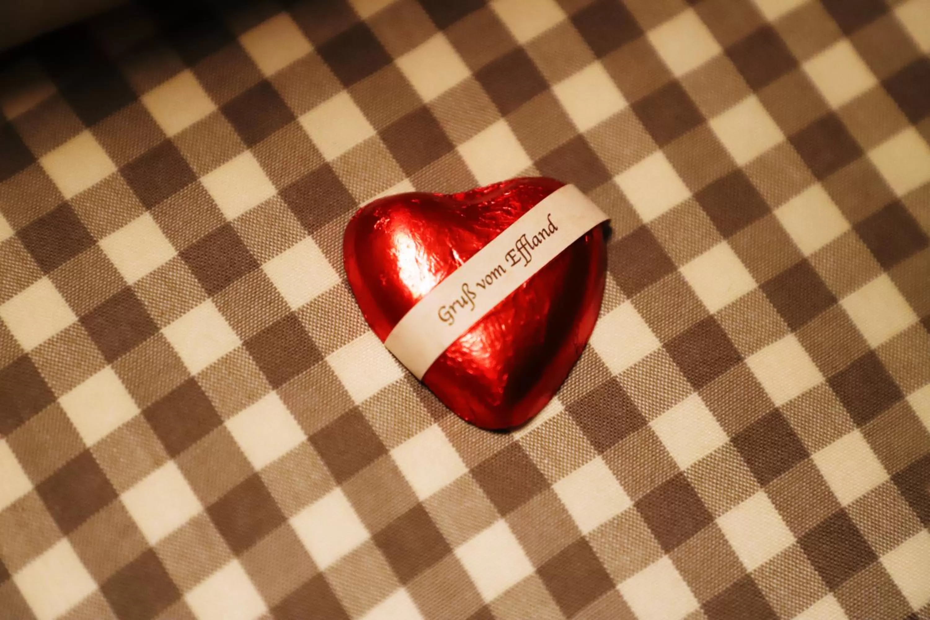 Property logo or sign in Hotel Effland -Sauna -Pool