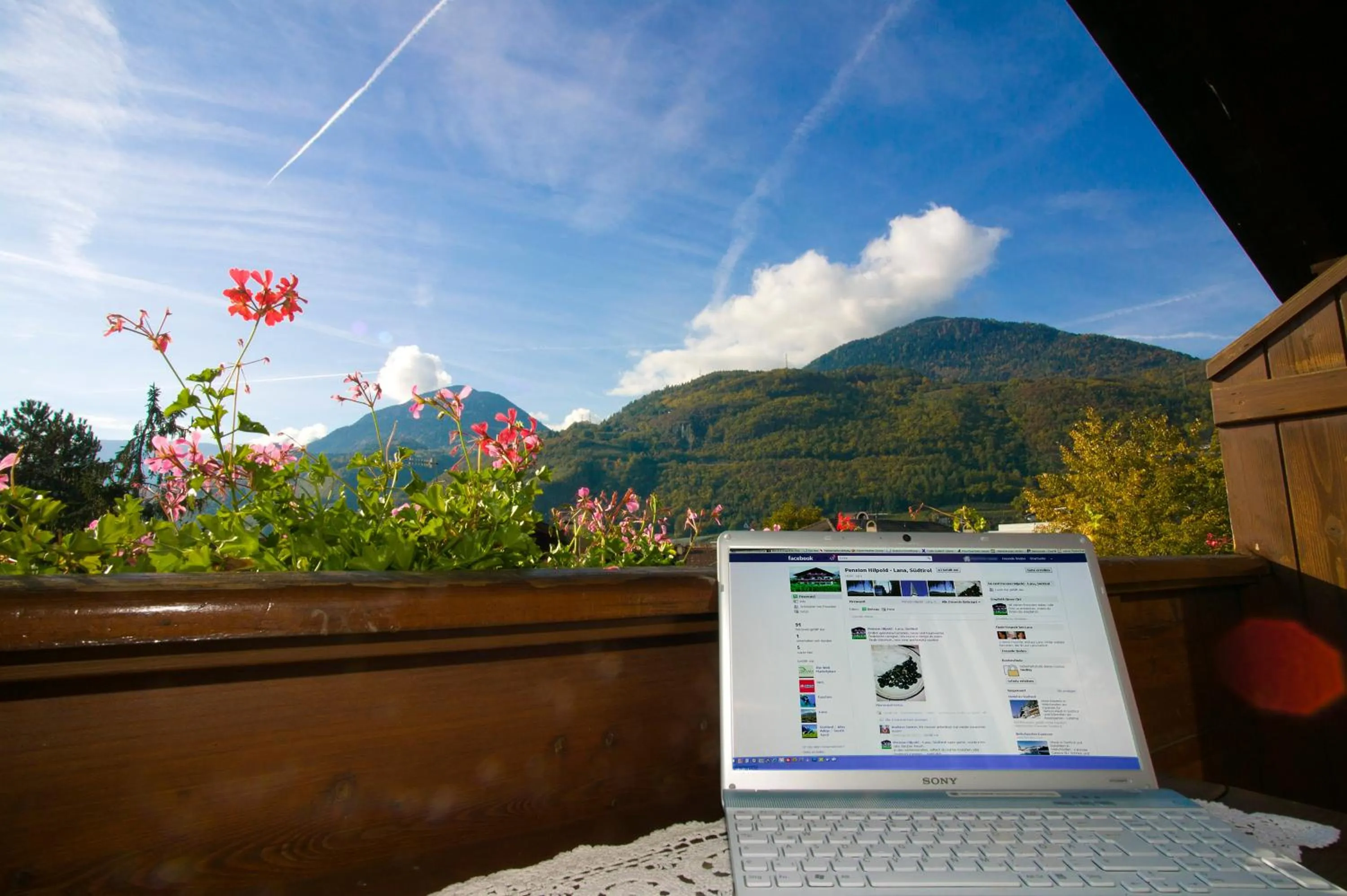 Other in Bed&Breakfast Pension Hilpold