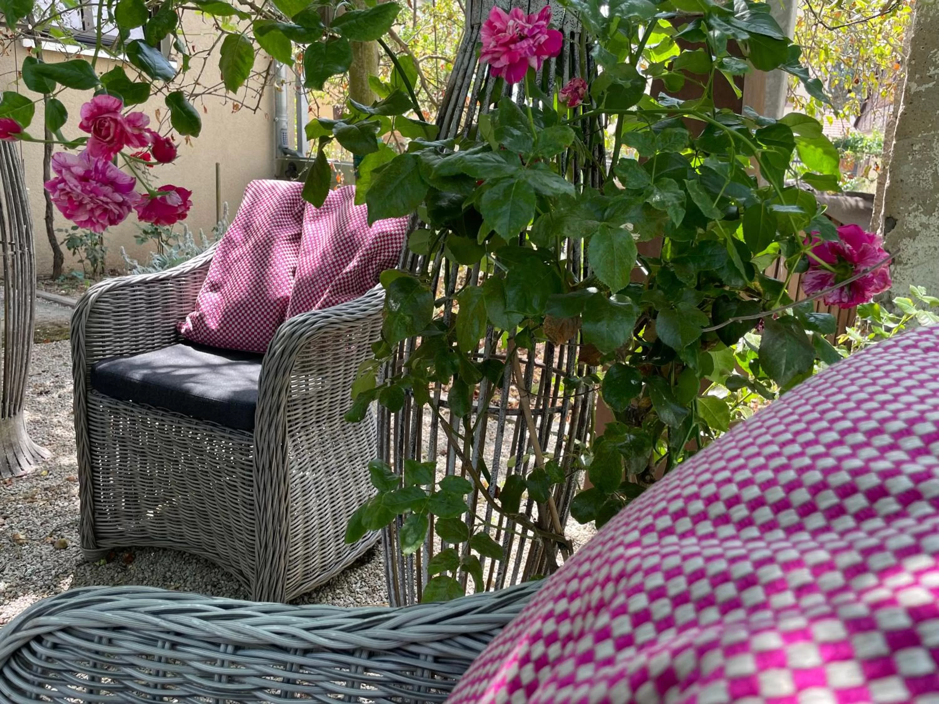 Patio in Jugendstil-Hof