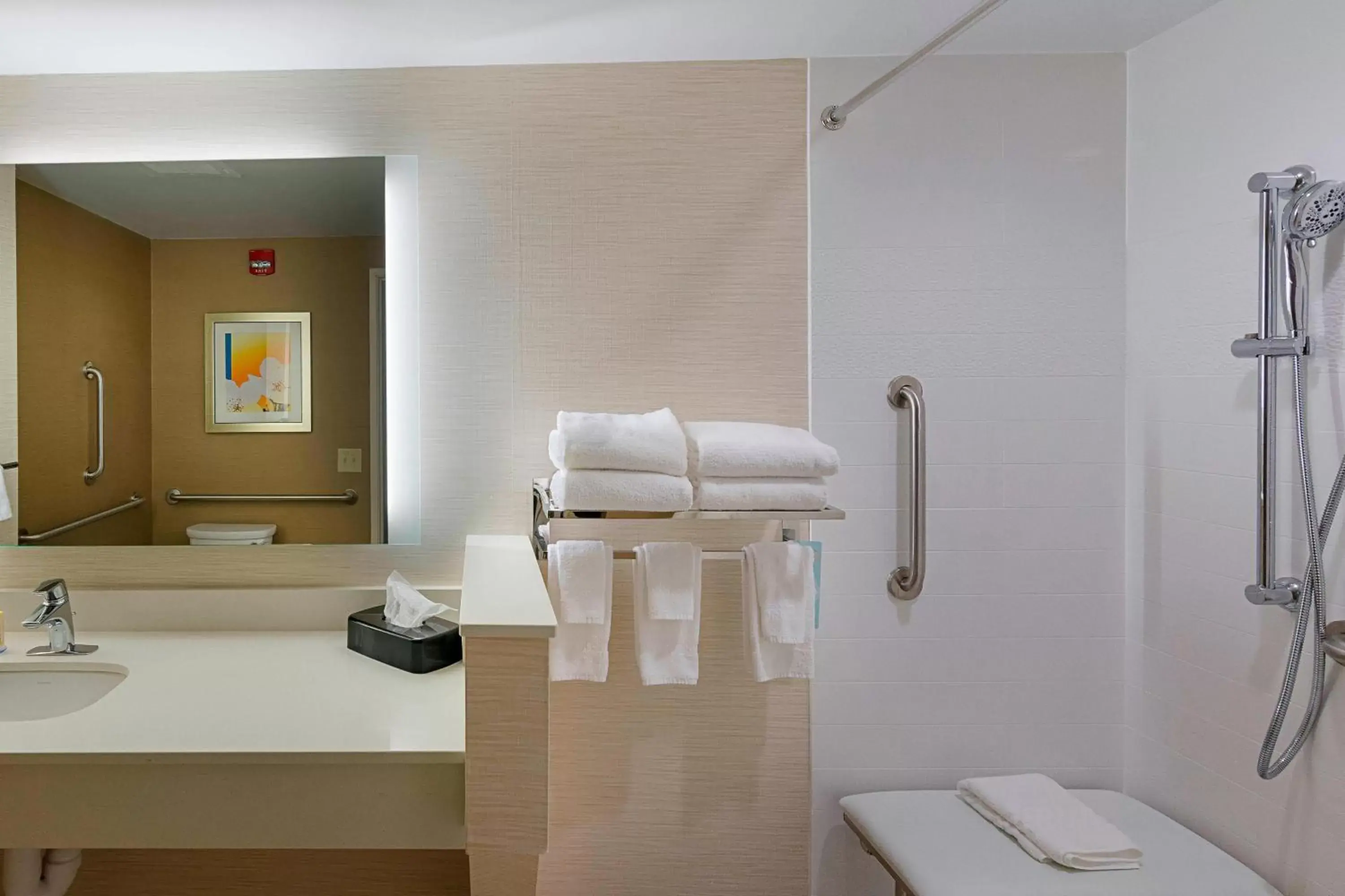 Bathroom in Fairfield Inn & Suites by Marriott Abingdon