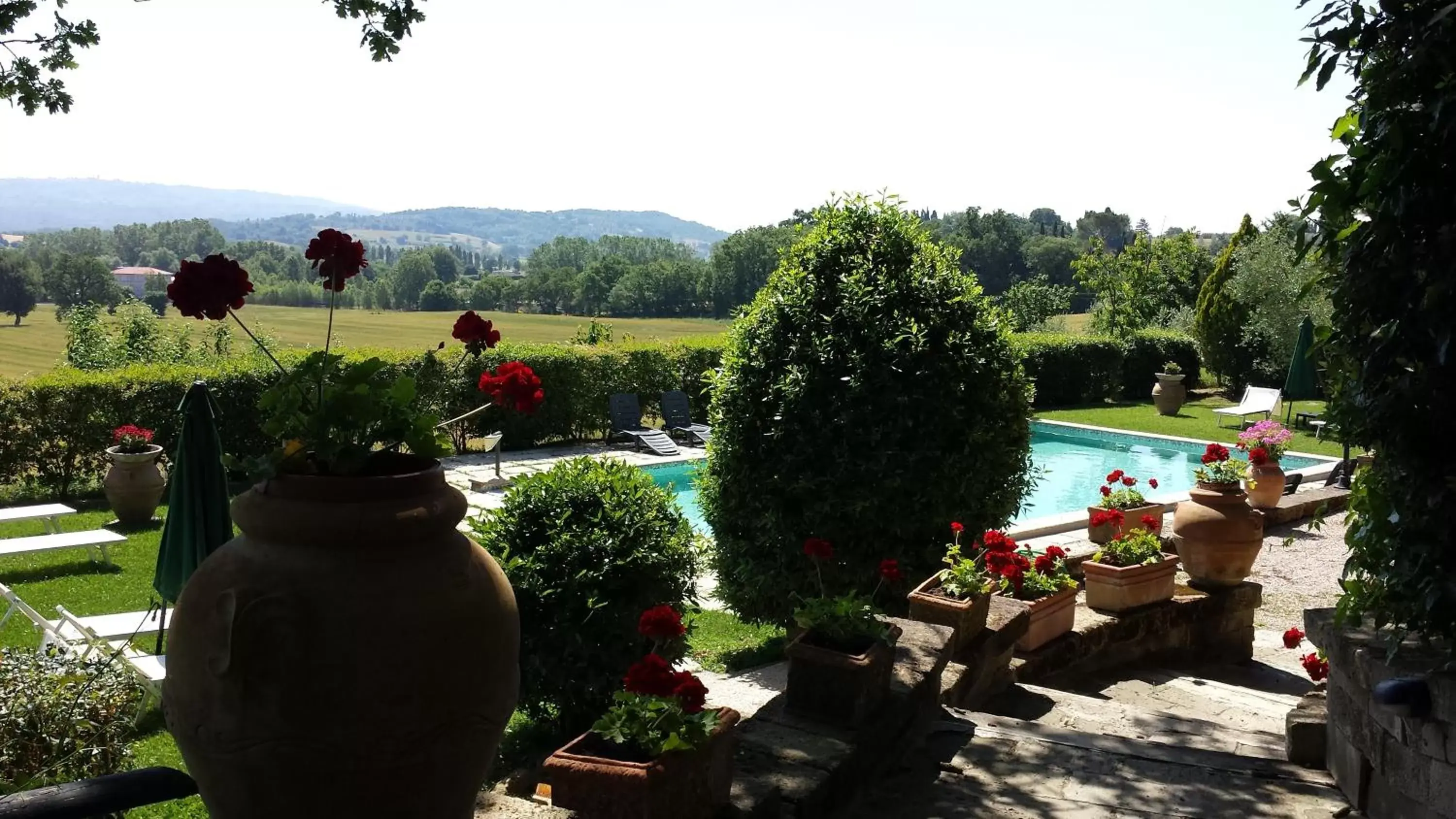 Pool View in Podere Lamaccia - bed and kitchinette