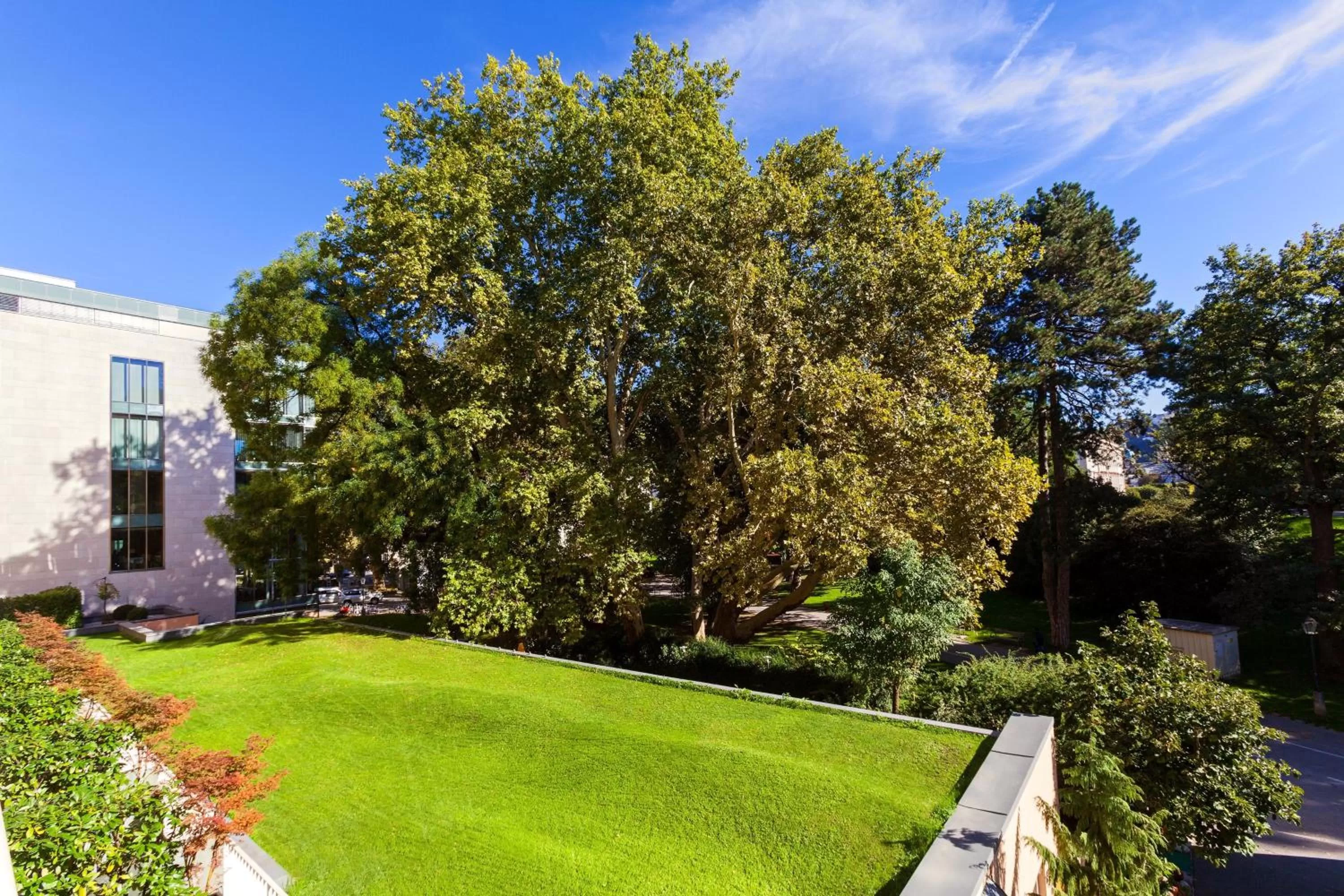 Photo of the whole room in Sheraton Grand Salzburg