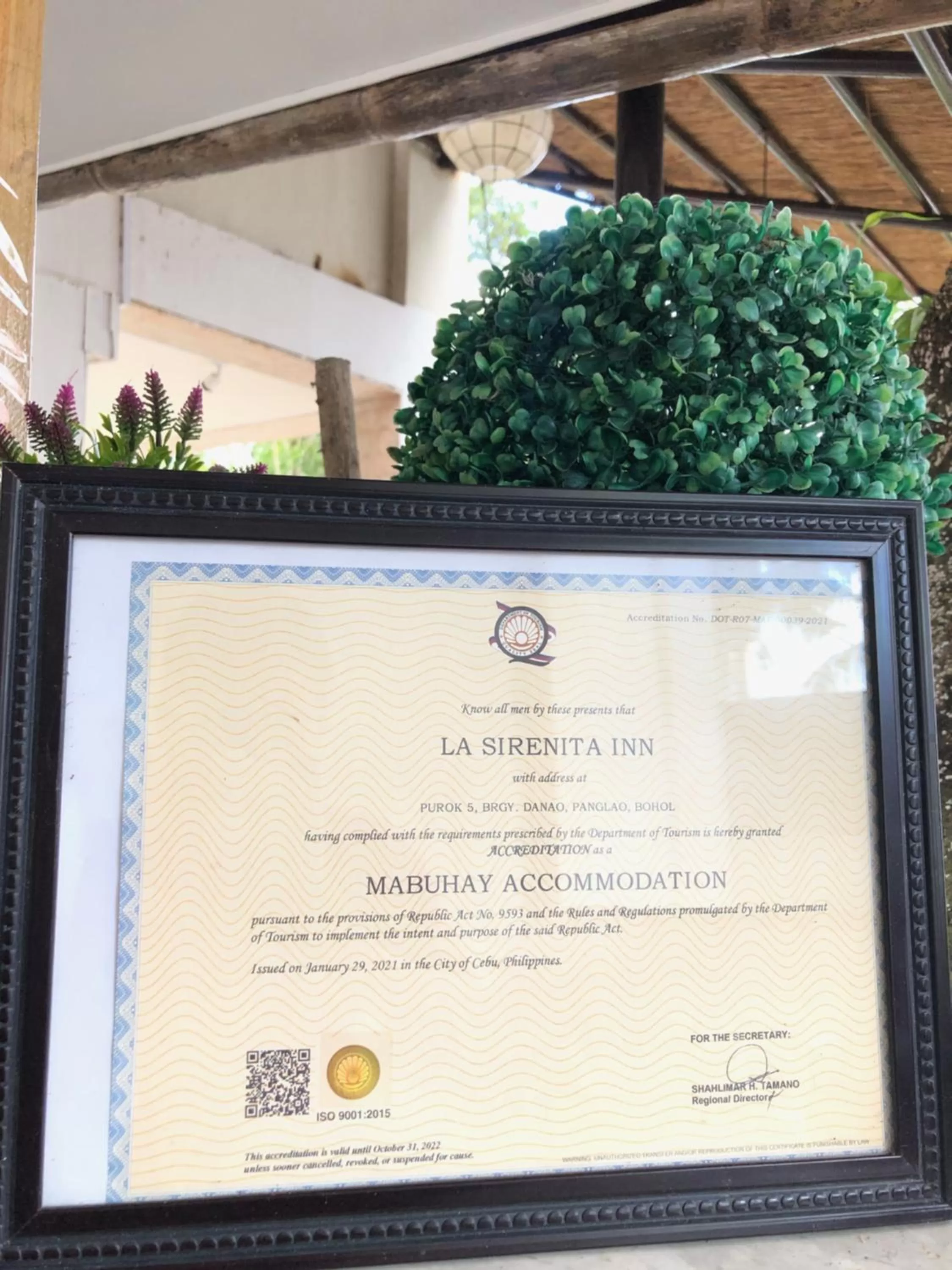 Property logo or sign in La Sirenita