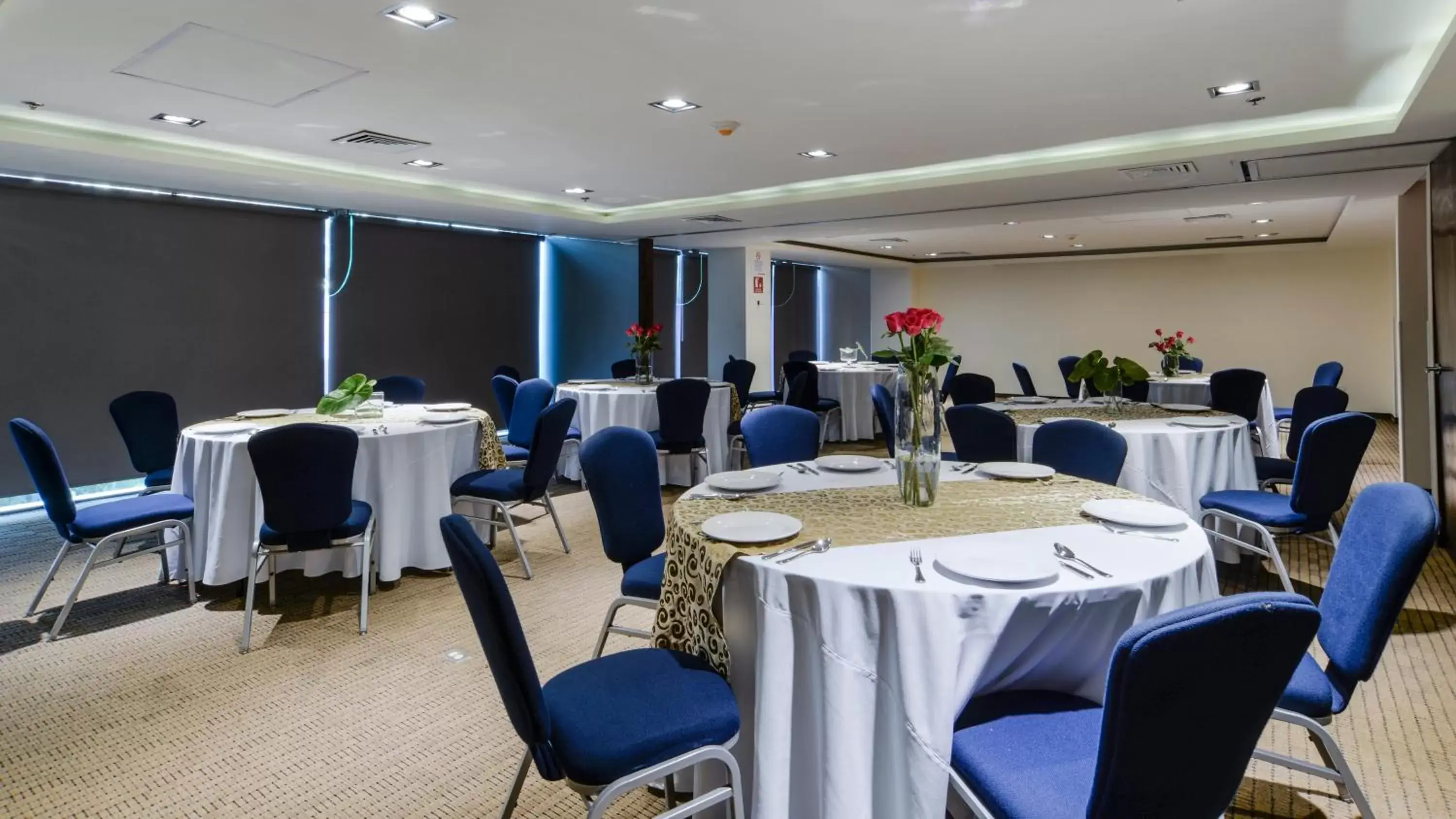 Banquet/Function facilities, Banquet Facilities in Holiday Inn Express Culiacan, an IHG Hotel