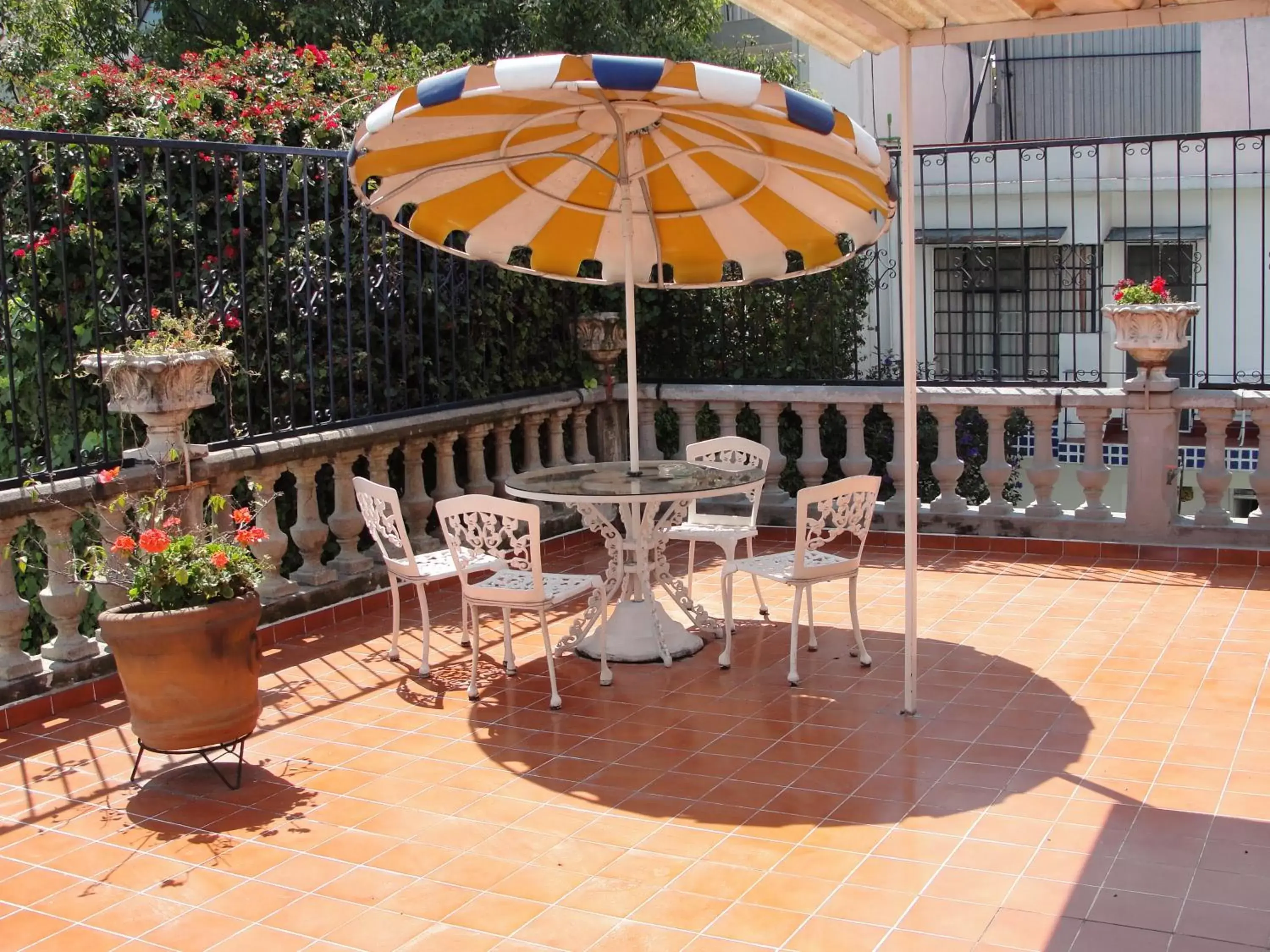 Area and facilities in Hotel Casa Gonzalez