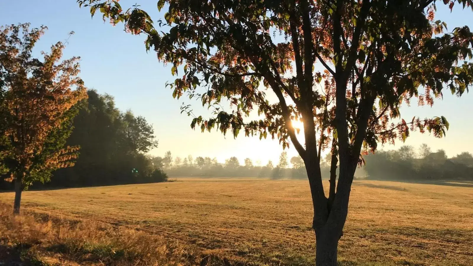 Natural landscape in Mooiverblijf