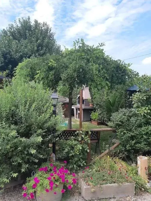 Garden in La Casa di Biba