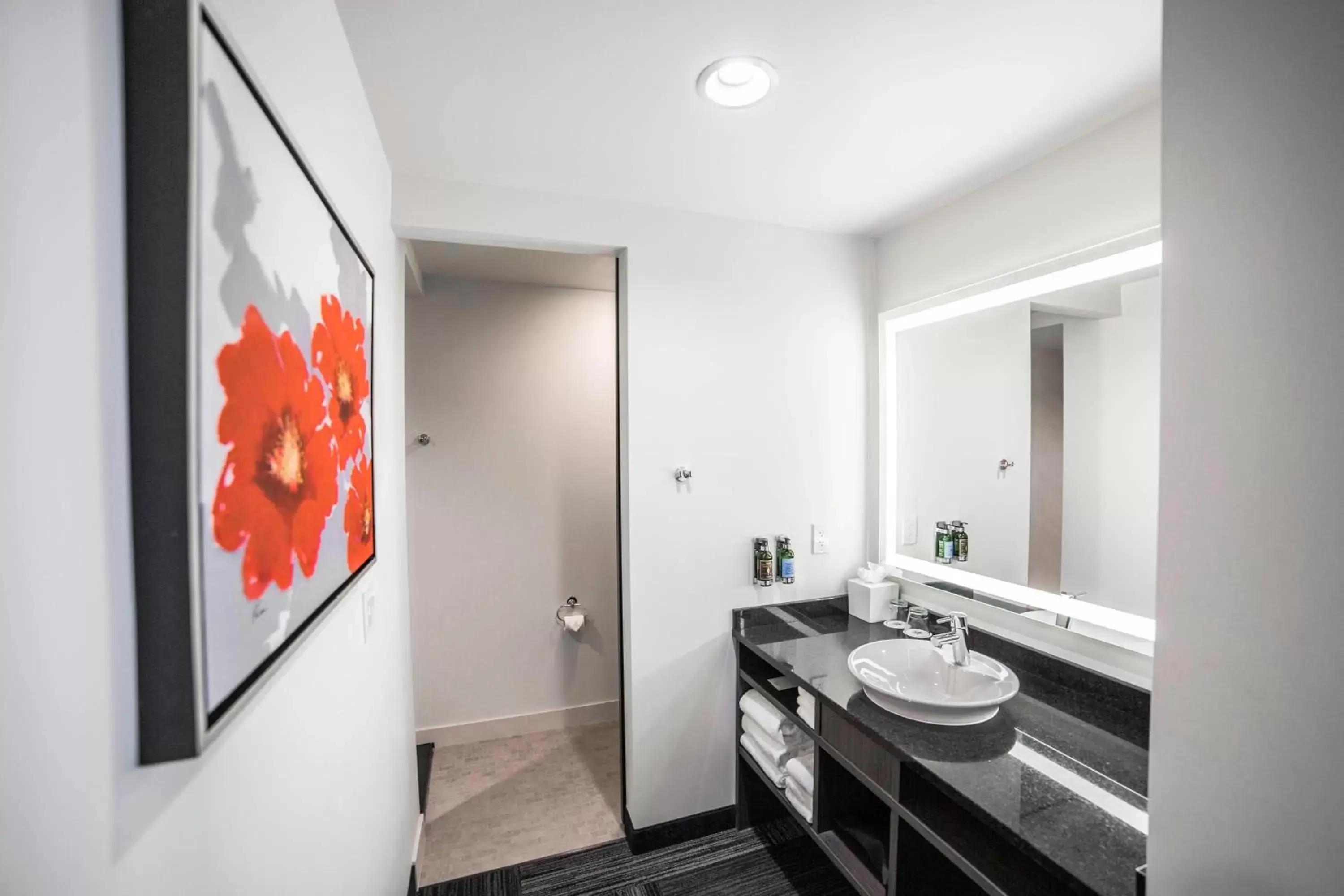 Bathroom in The Davenport Grand, Autograph Collection