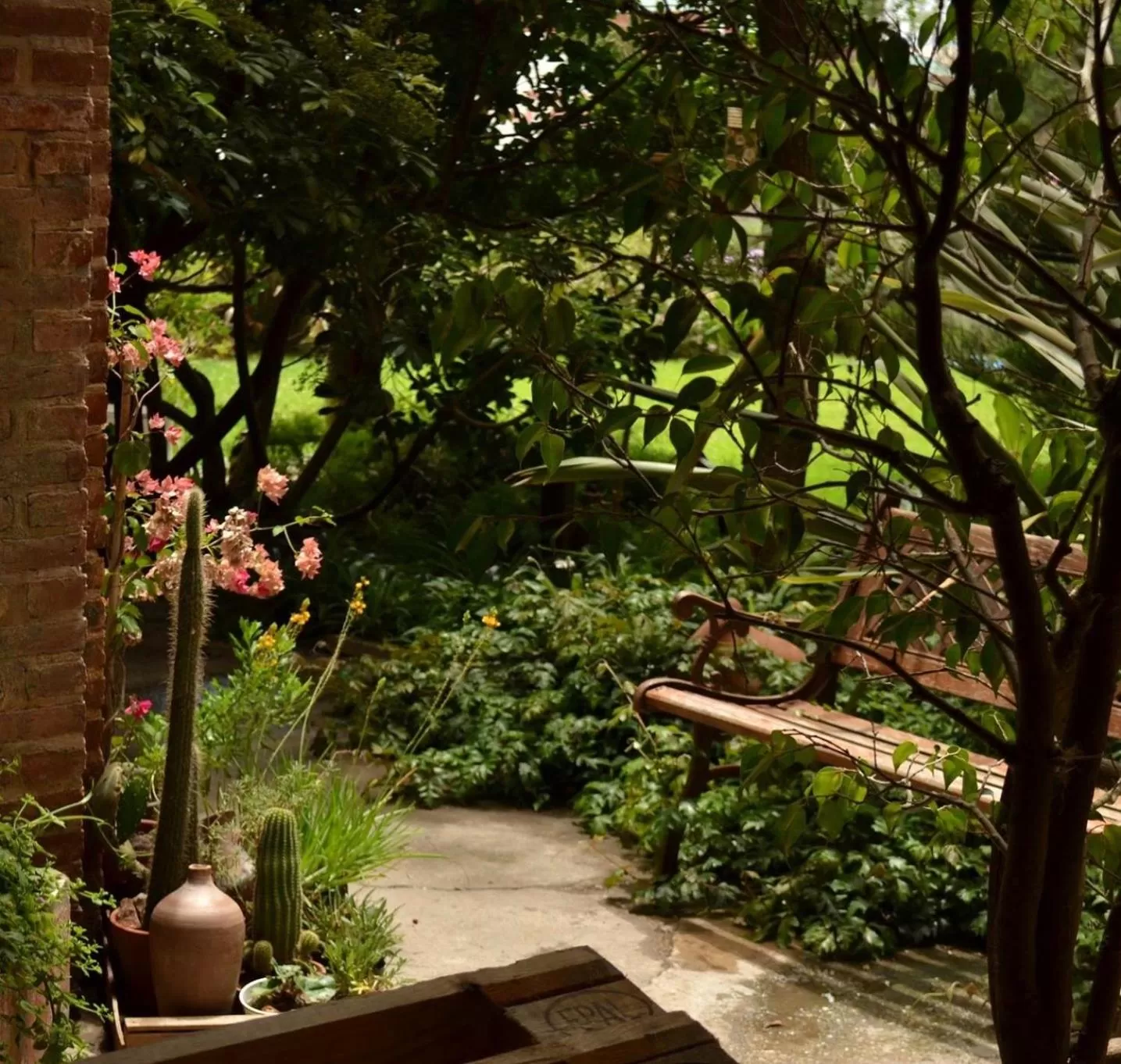 Natural landscape in Costanera Mar Hotel & Suites