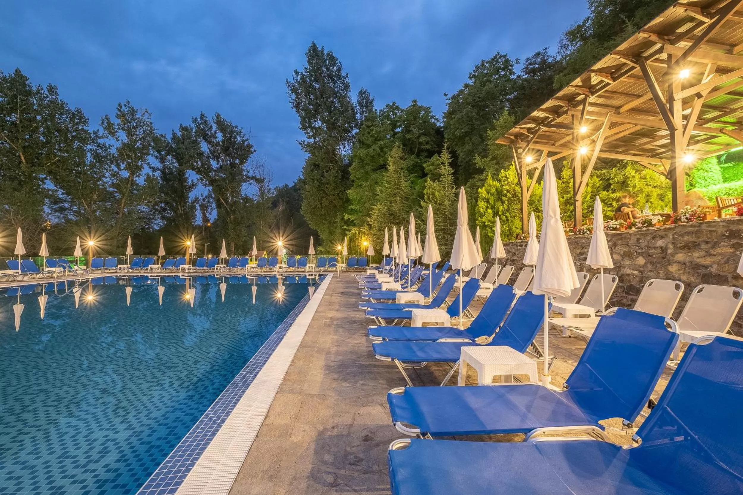 Swimming pool in Park Hotel Asenevtsi