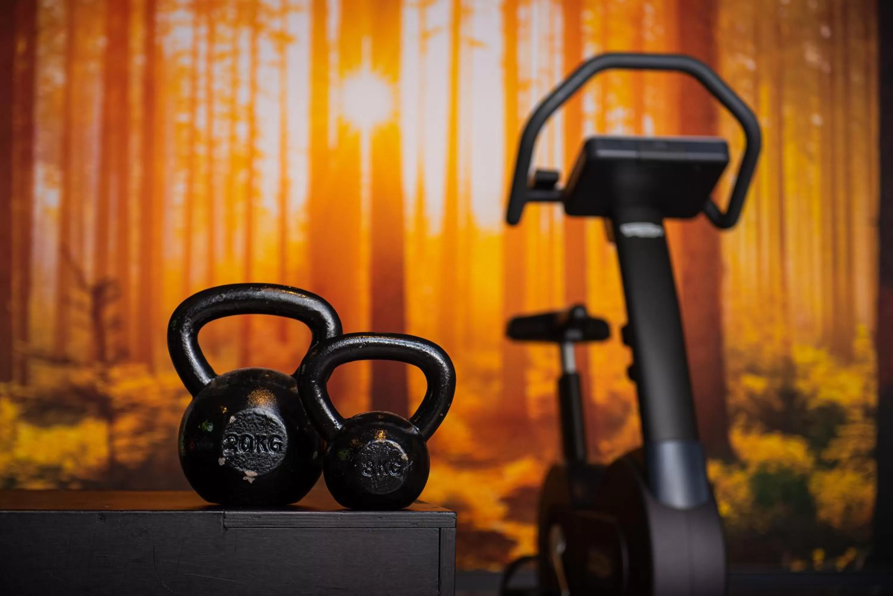 Fitness centre/facilities in Hotel Gastronomique de Echoput