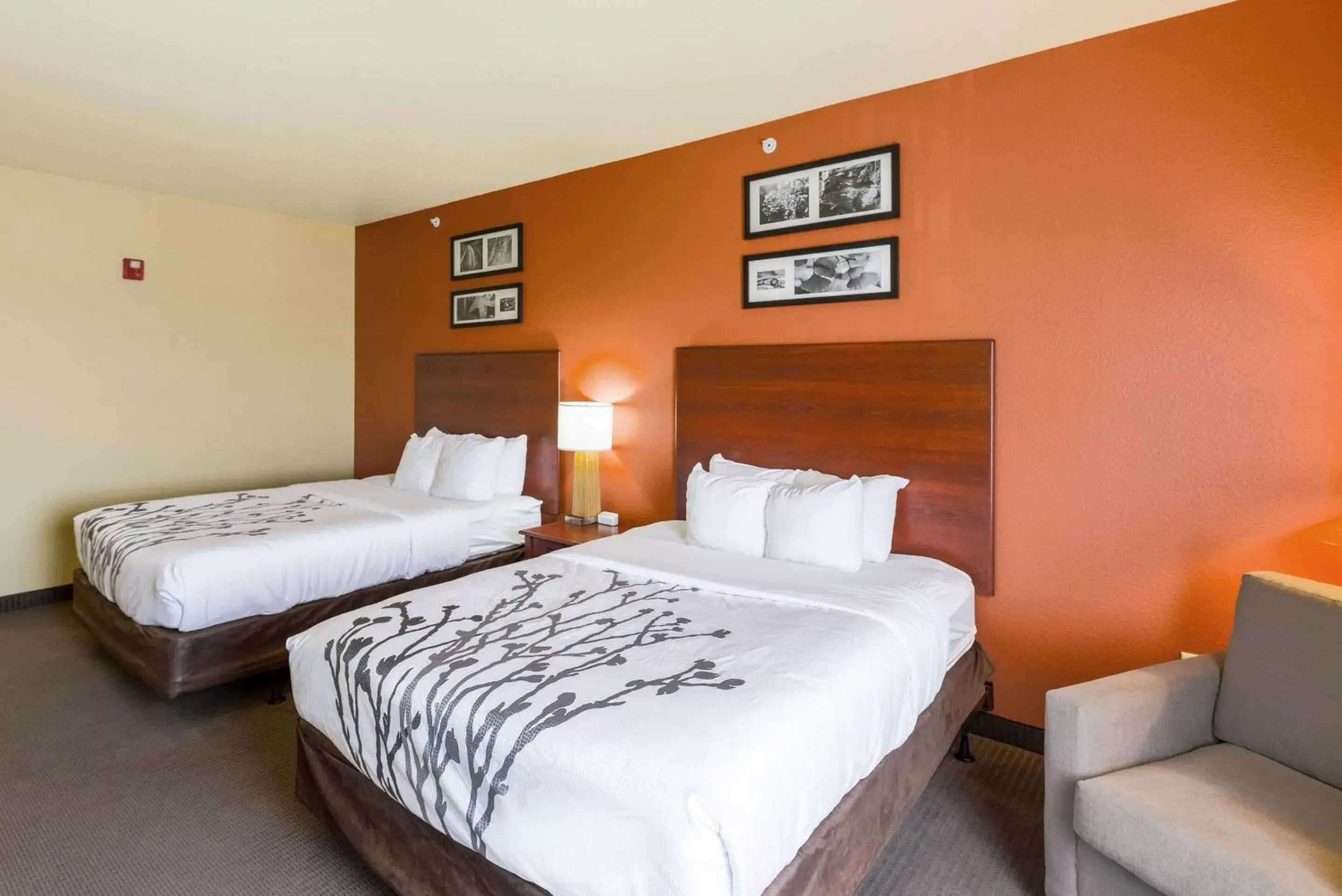Photo of the whole room in Sleep Inn & Suites Midland West