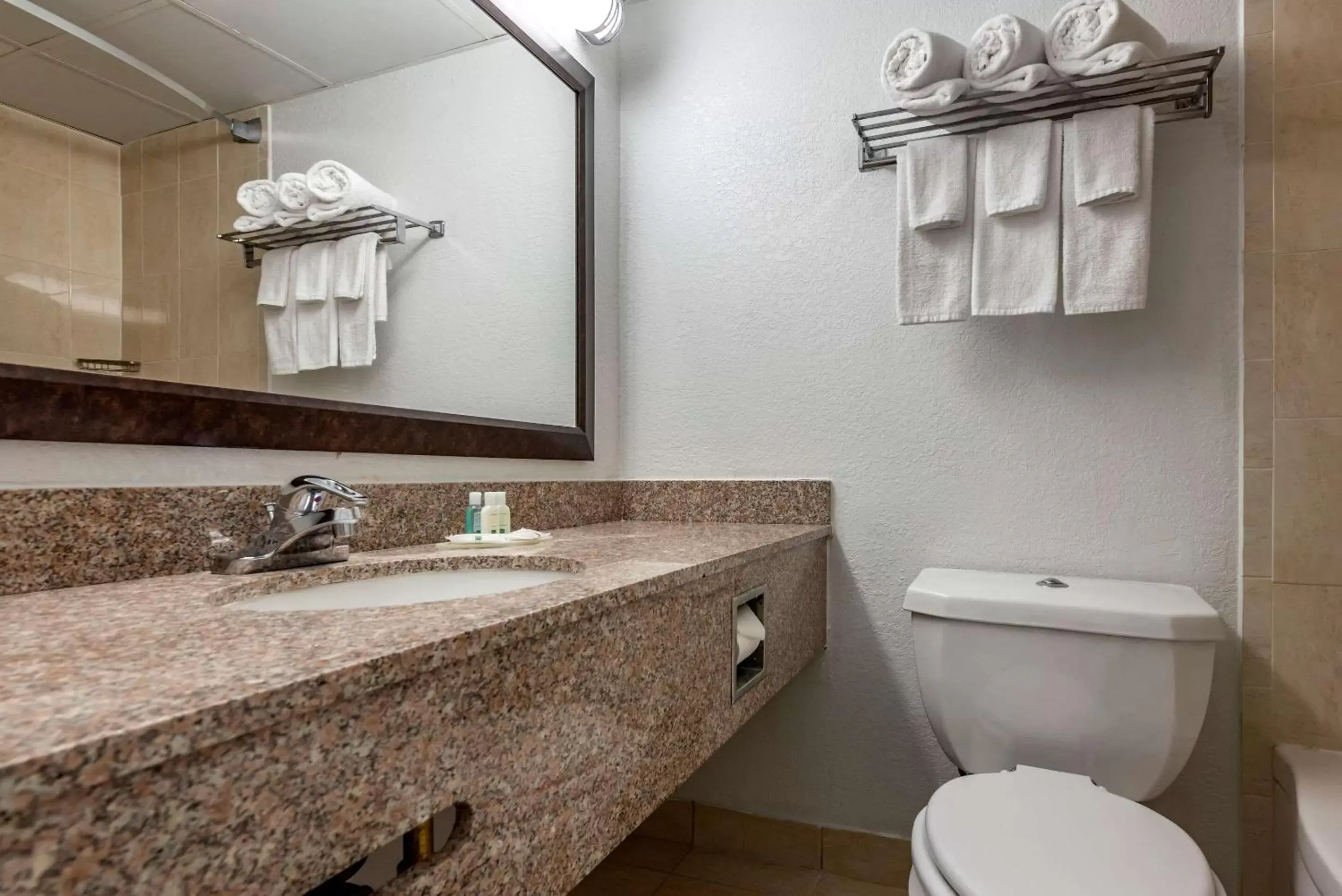 Bathroom in Quality Inn & Suites Vestal Binghamton near University