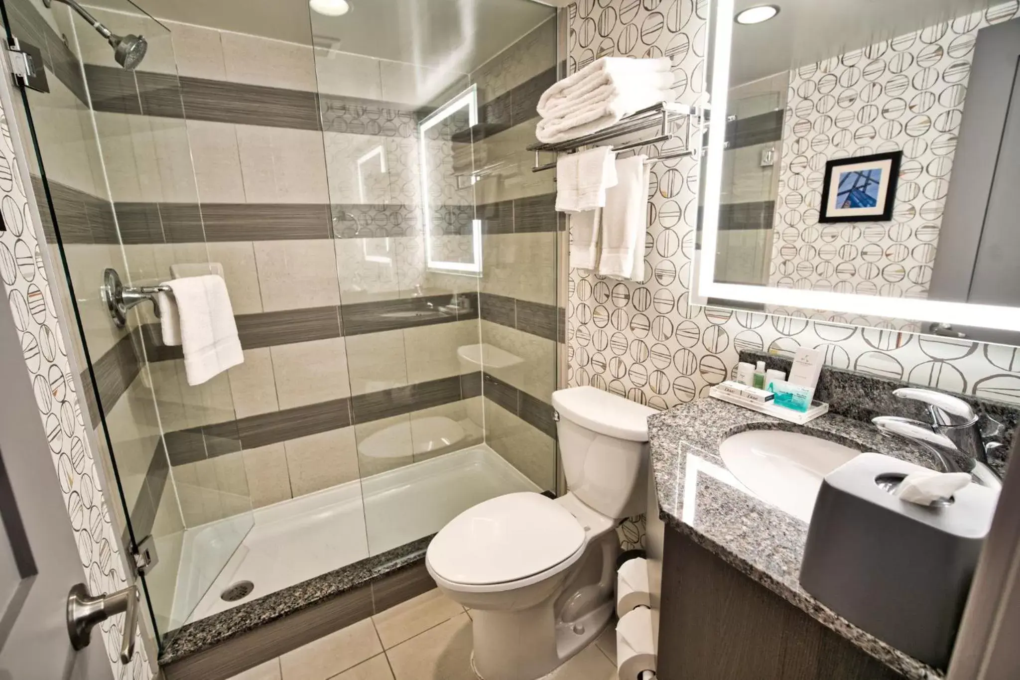 Bathroom in Holiday Inn Toronto Downtown Centre, an IHG Hotel
