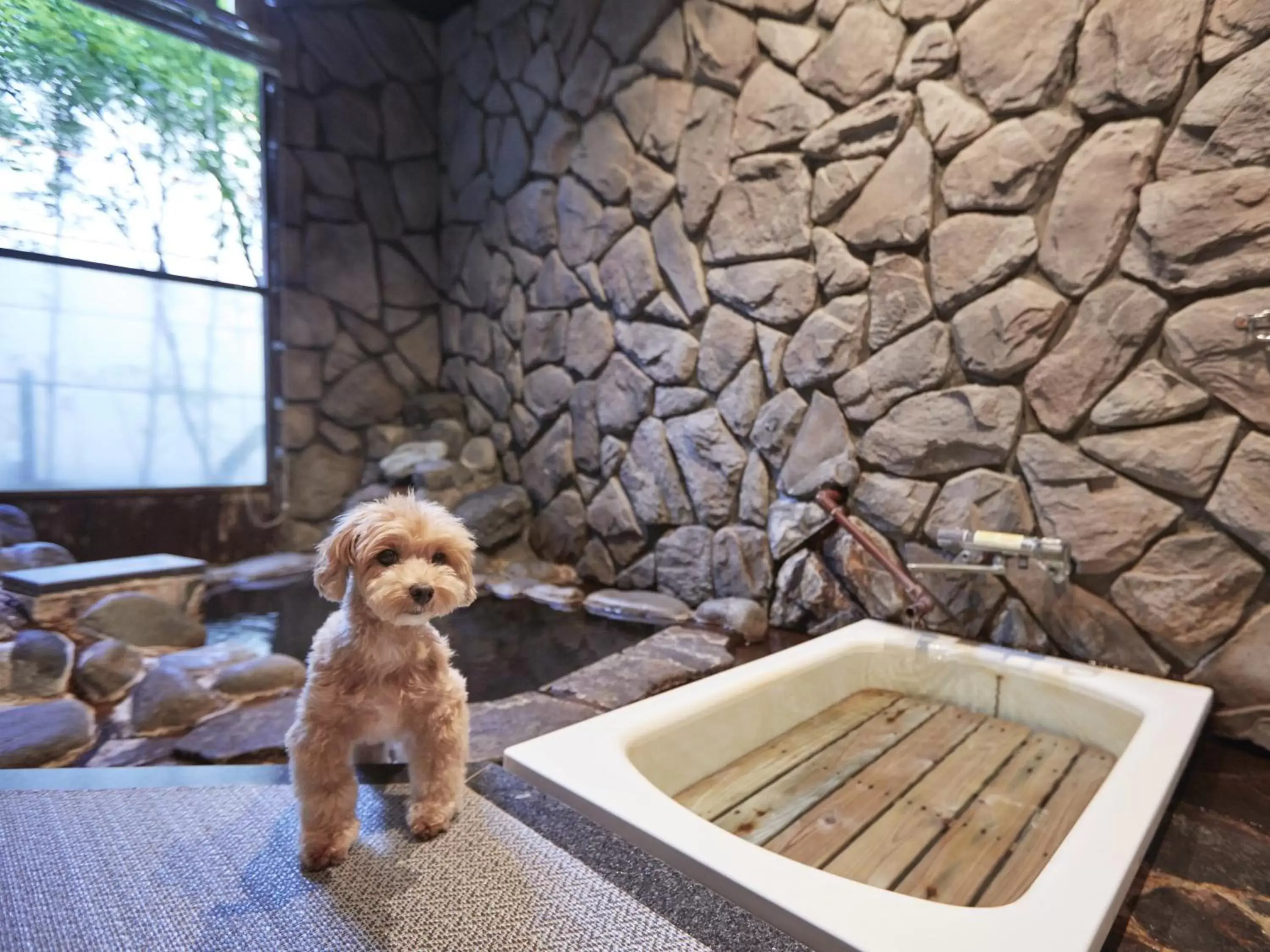 Hot Spring Bath, Pets in Wellness Forest Nasu