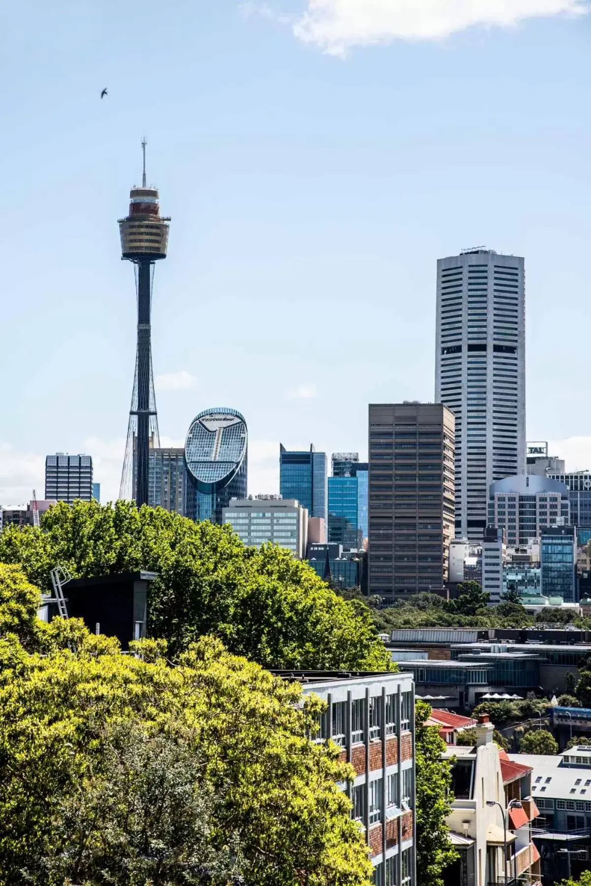 City view in Hotel Challis Potts Point