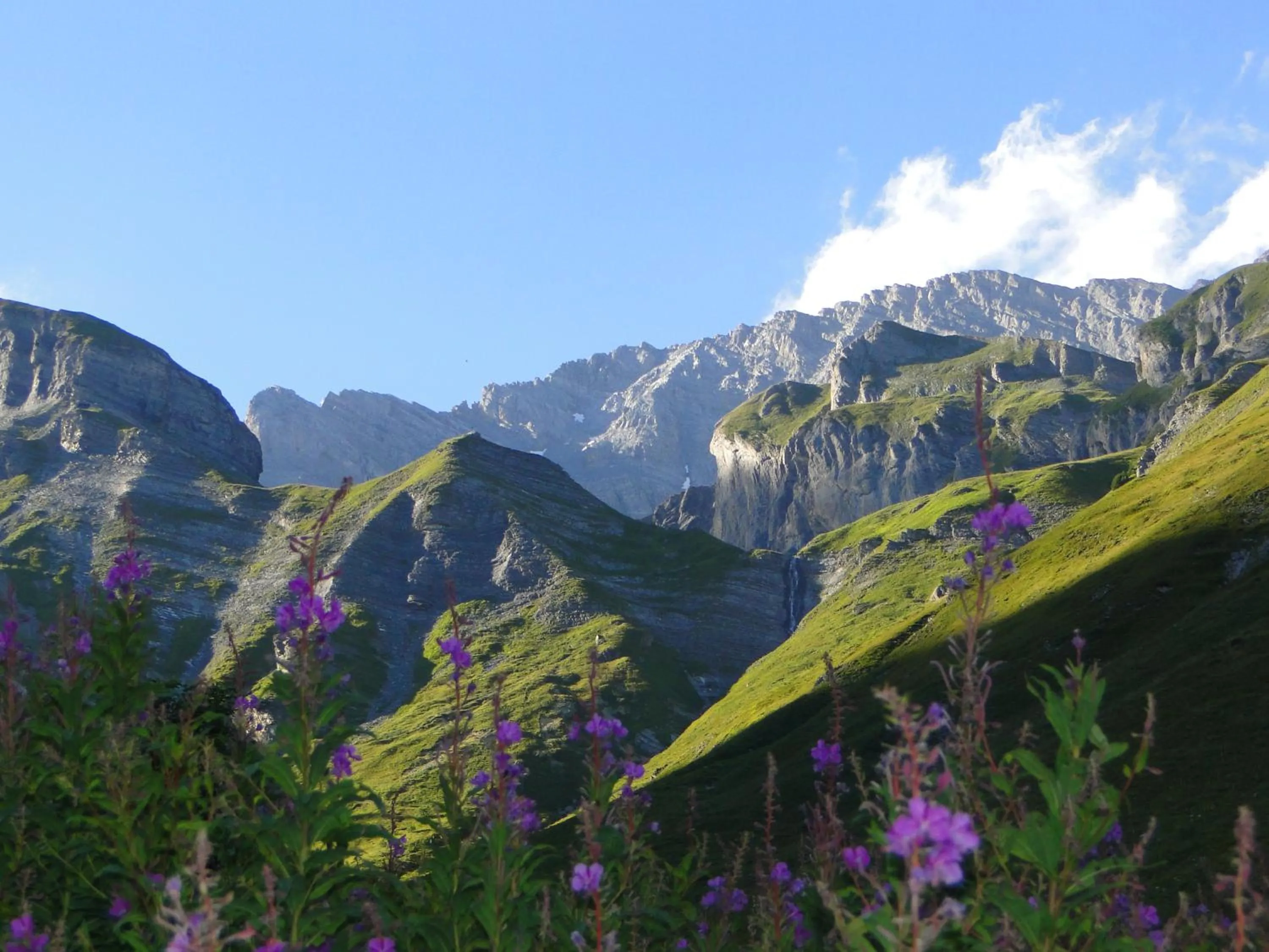 Natural landscape in Hôtel Les Bains d'Ovronnaz